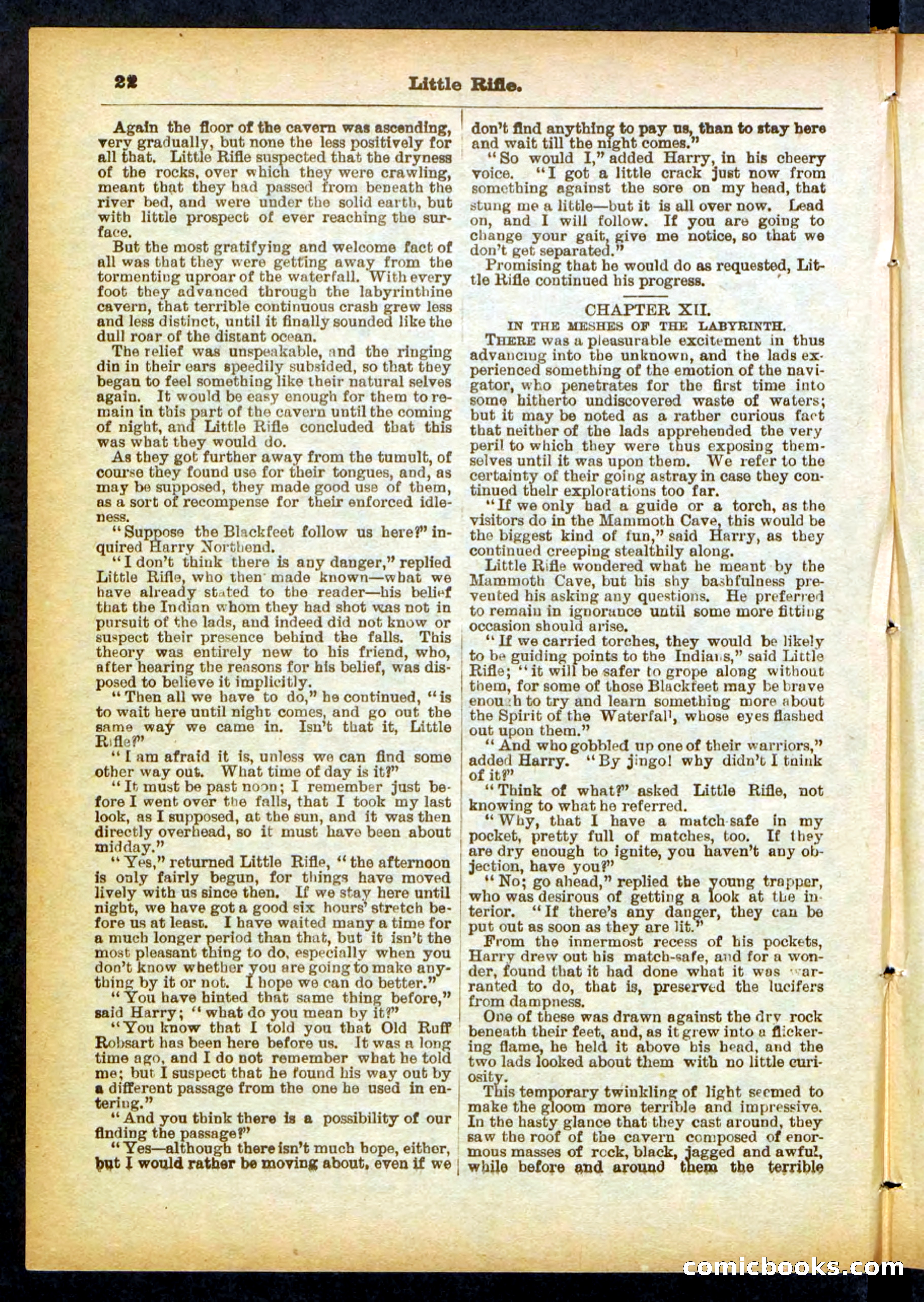 Old Ruff's Protégé; or, Little Rifle's Secret — page 22 of 32