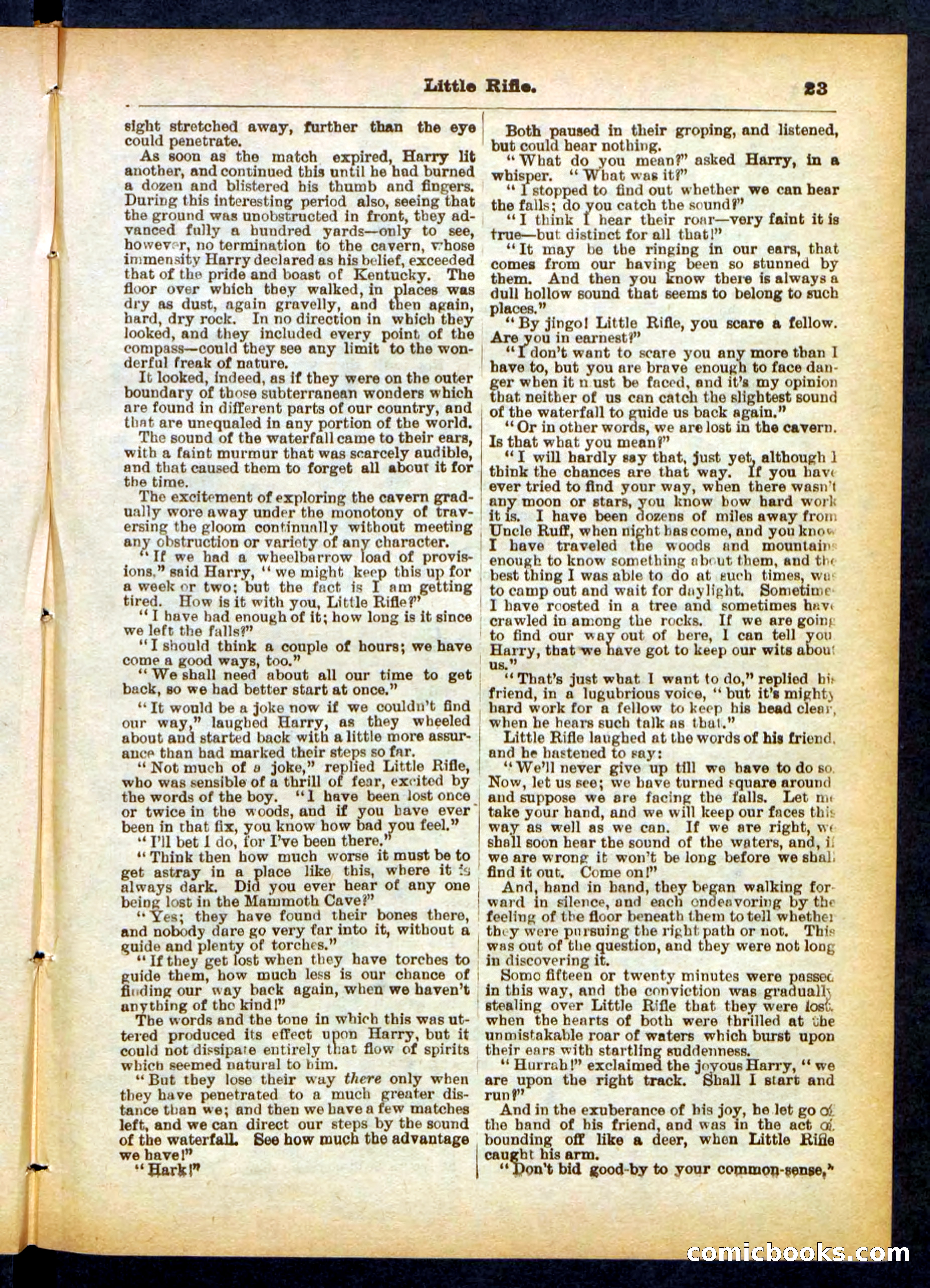 Old Ruff's Protégé; or, Little Rifle's Secret — page 23 of 32