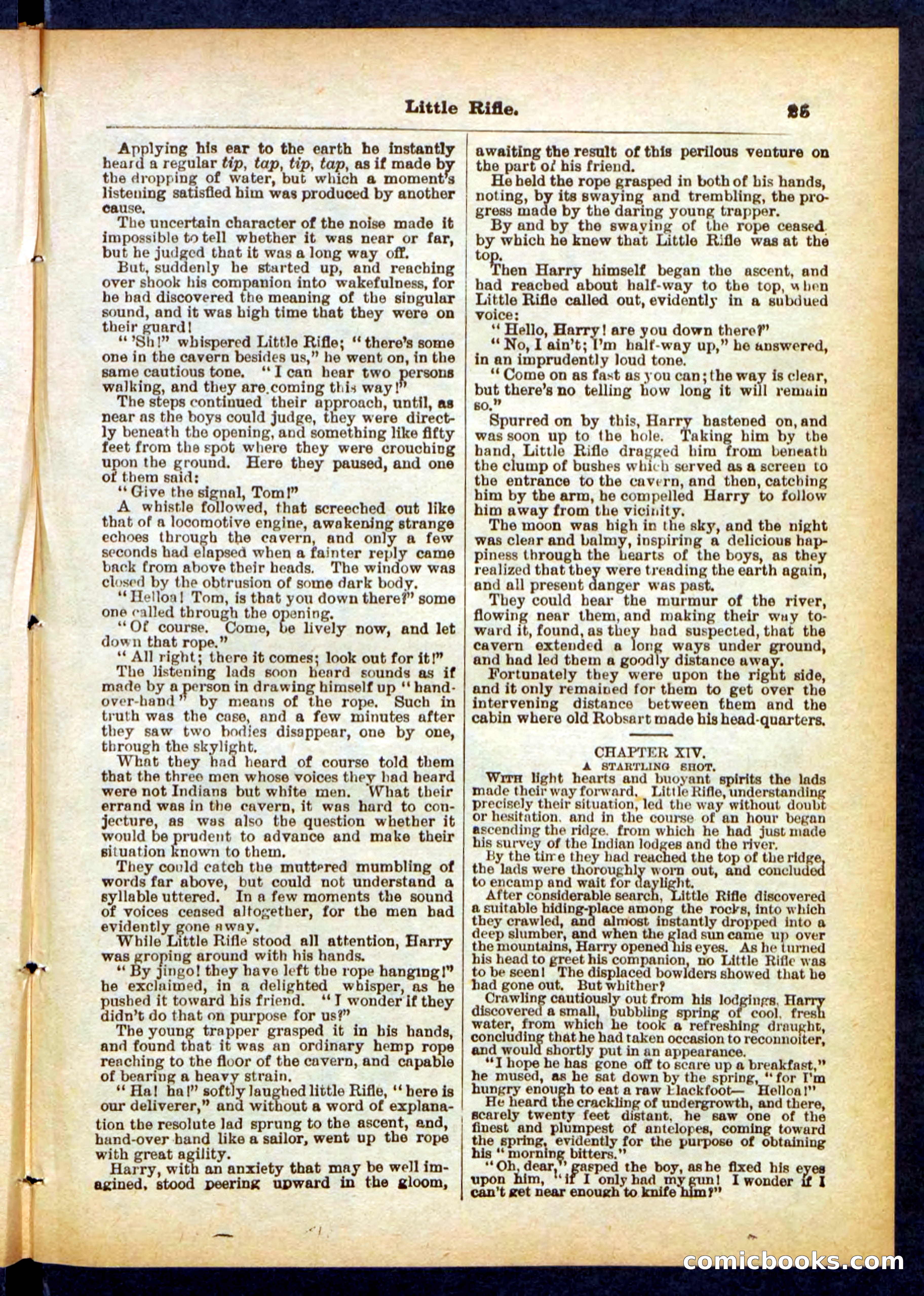 Old Ruff's Protégé; or, Little Rifle's Secret — page 25 of 32