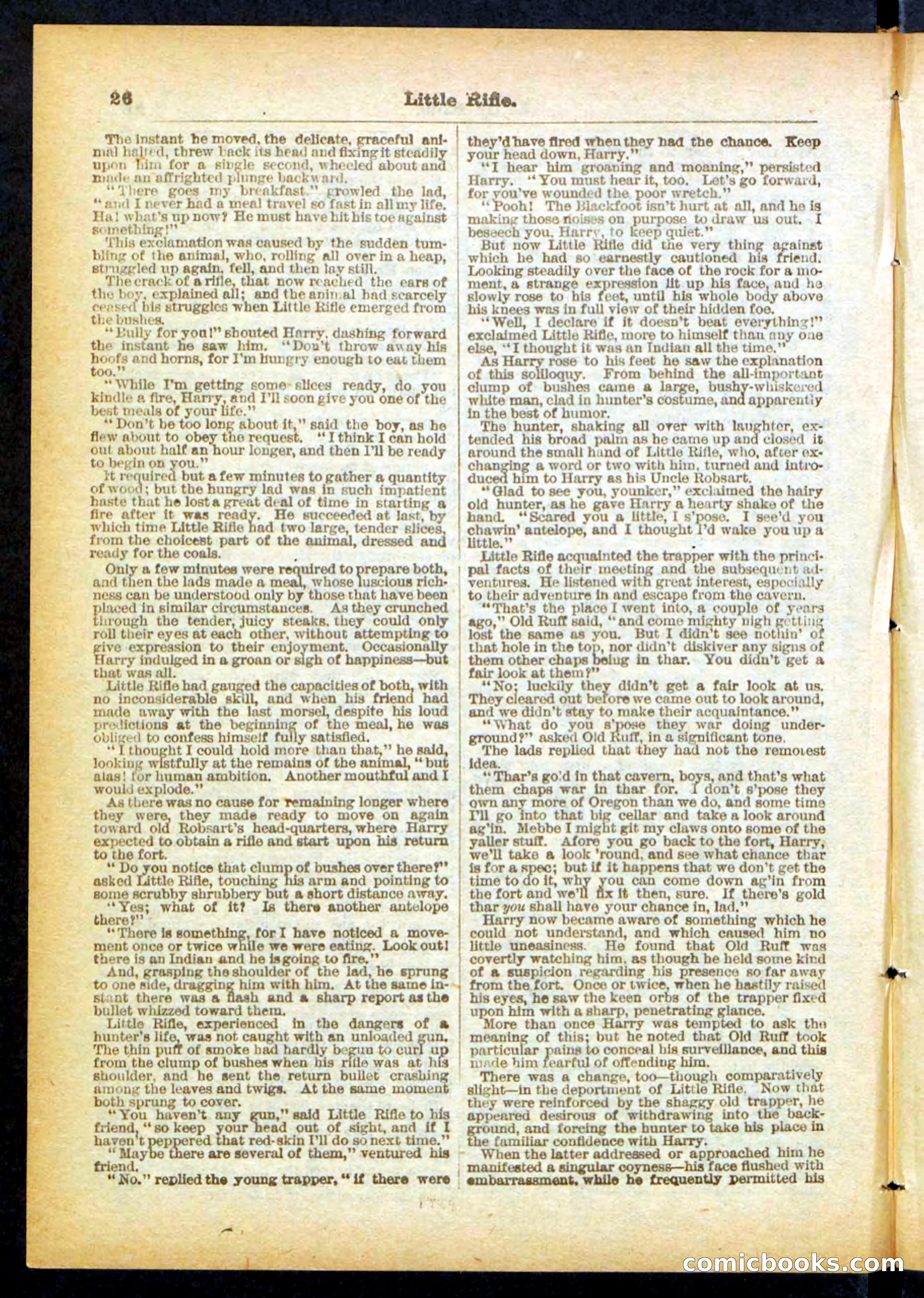 Old Ruff's Protégé; or, Little Rifle's Secret — page 26 of 32