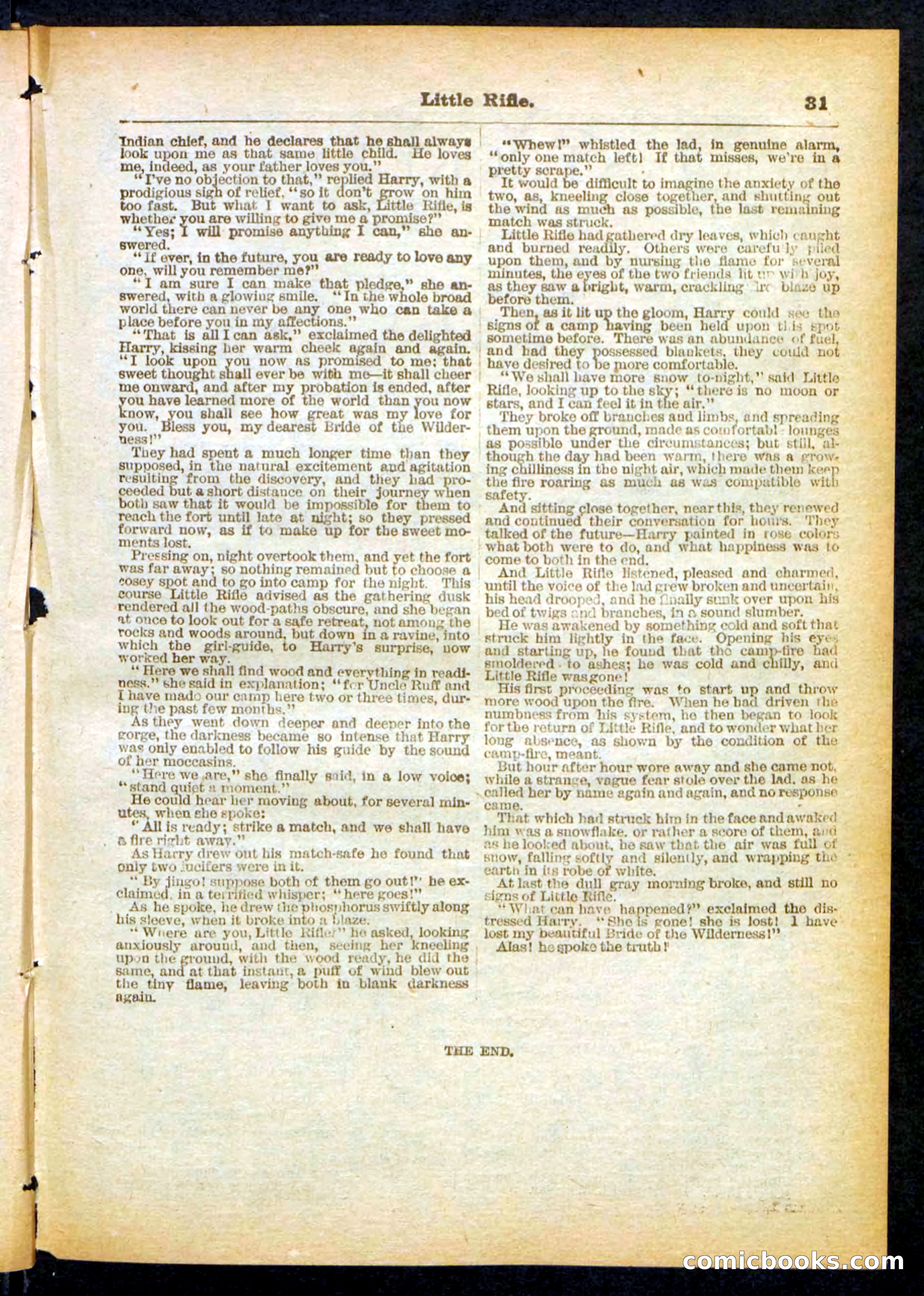 Old Ruff's Protégé; or, Little Rifle's Secret — page 31 of 32