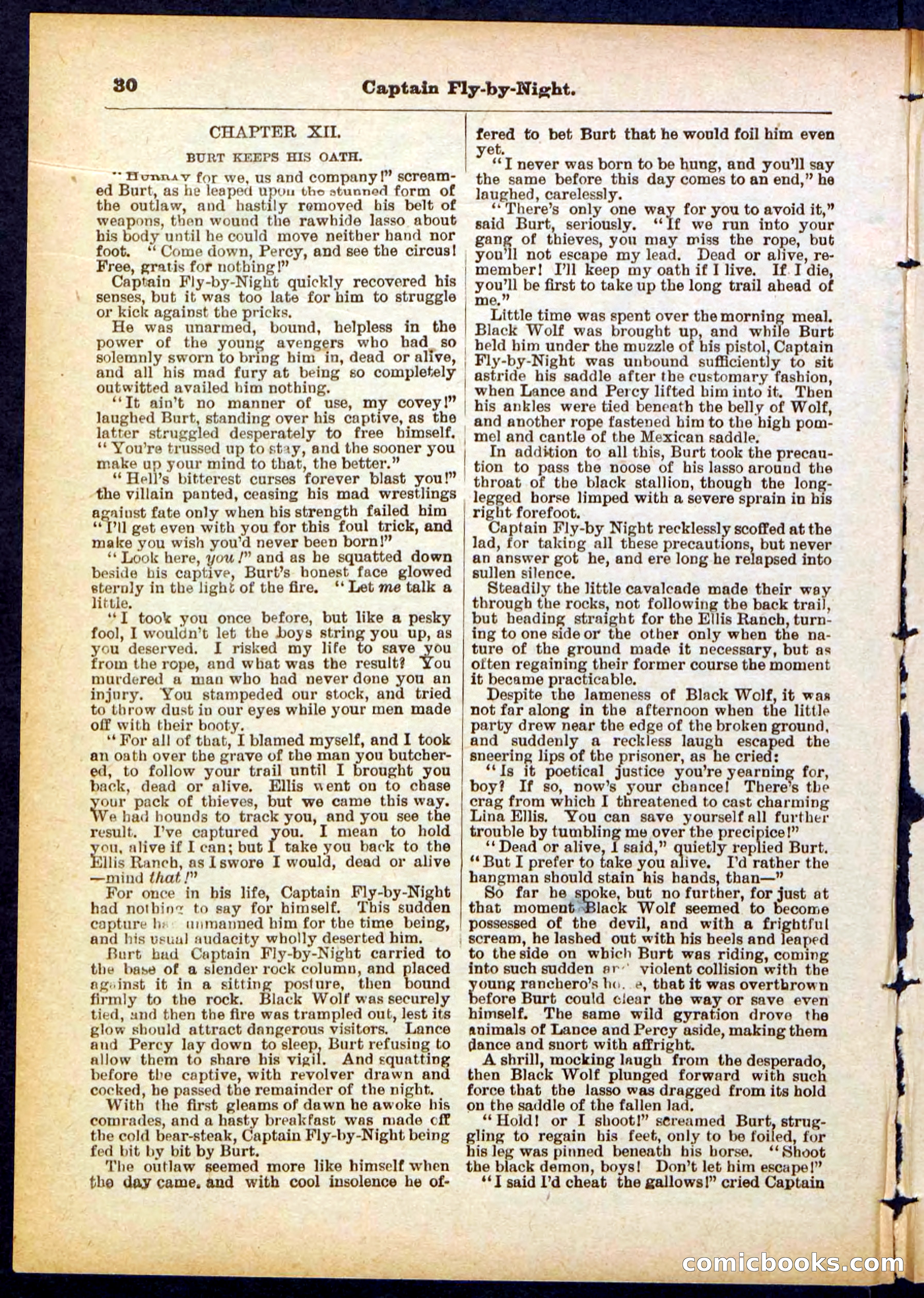 Captain Fly-by-Night — page 30 of 32