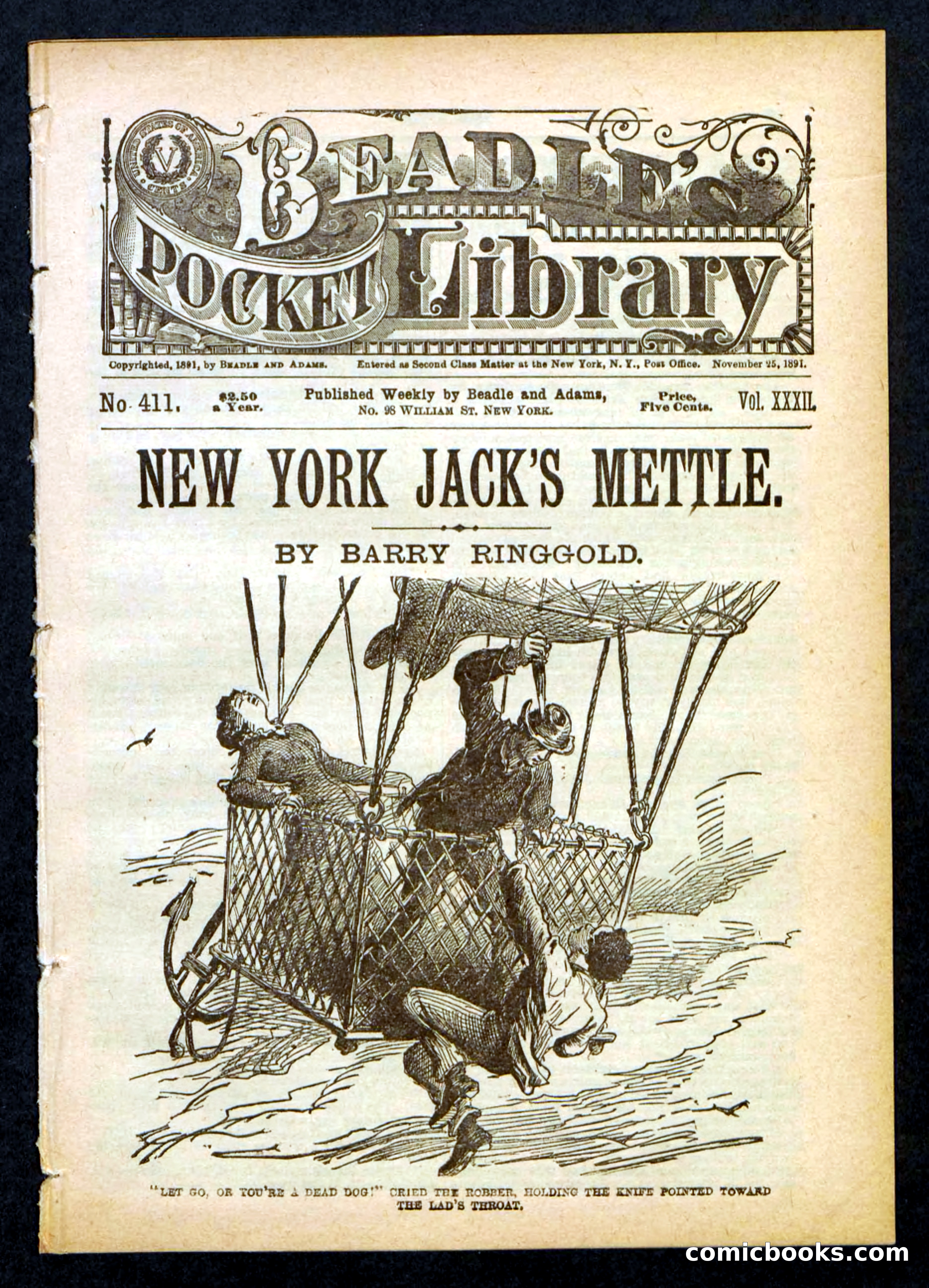 Beadle's Pocket Library No. 411
