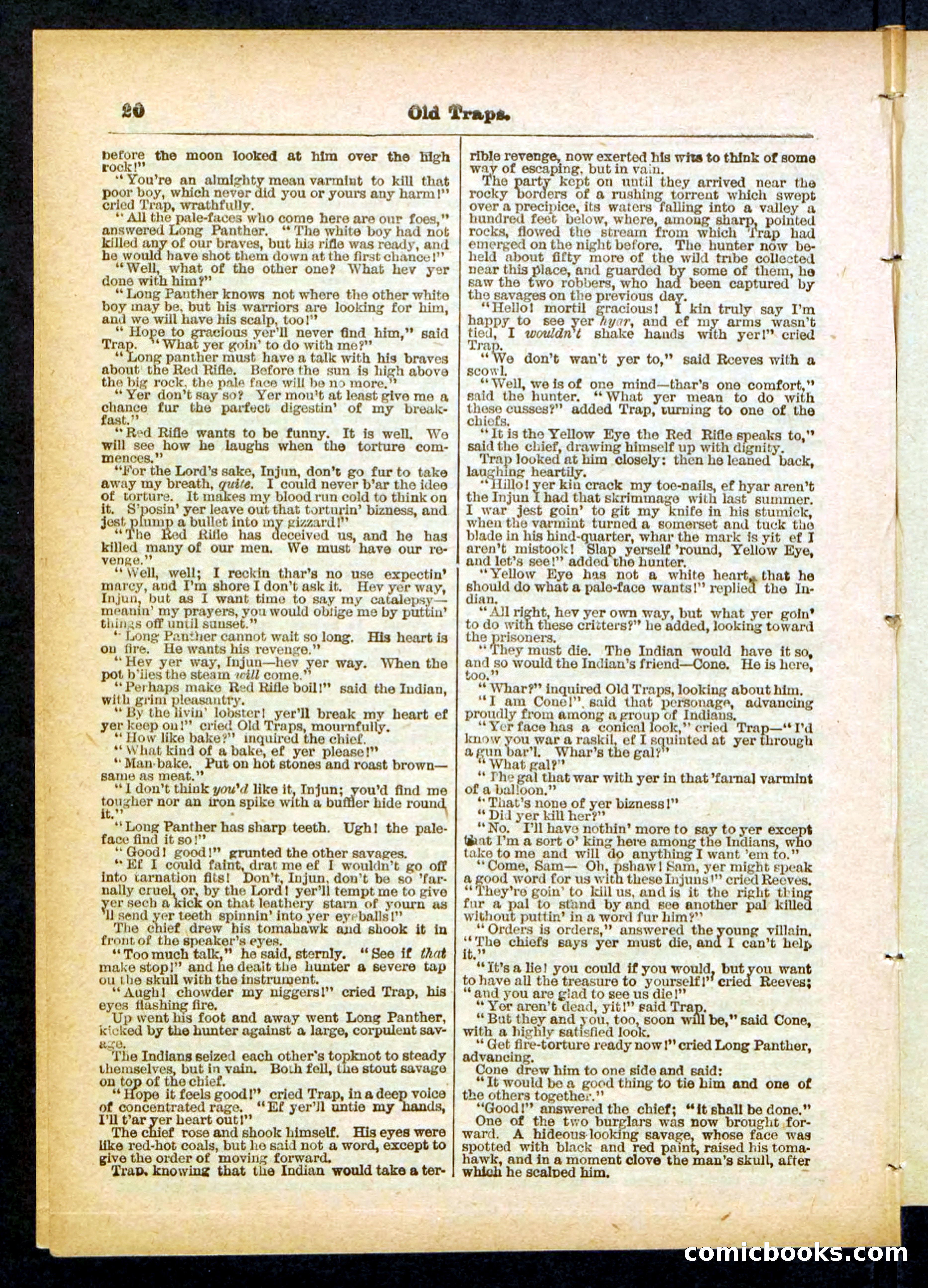 Beadle's Pocket Library No. 411 — page 20 of 32