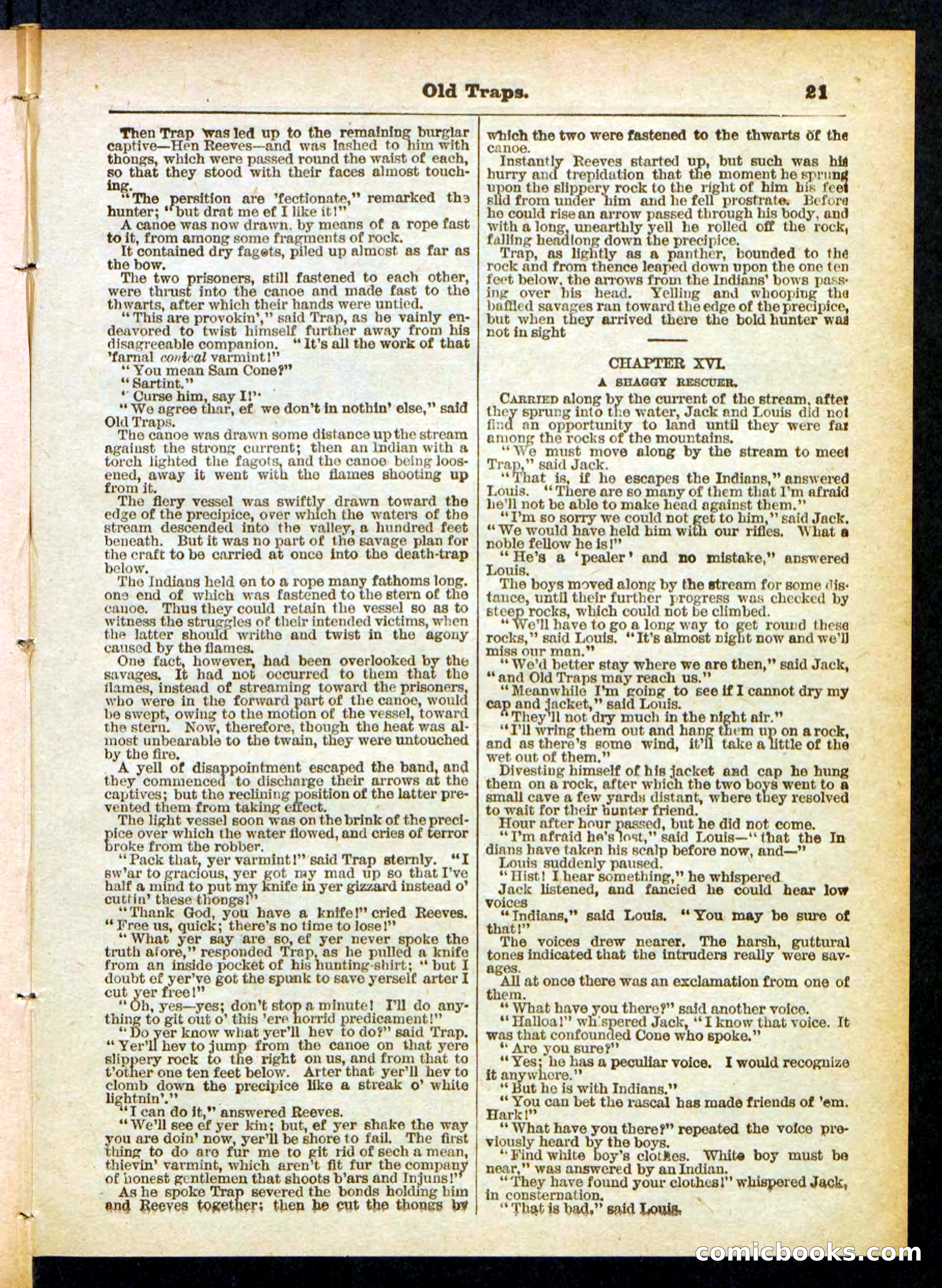 Beadle's Pocket Library No. 411 — page 21 of 32