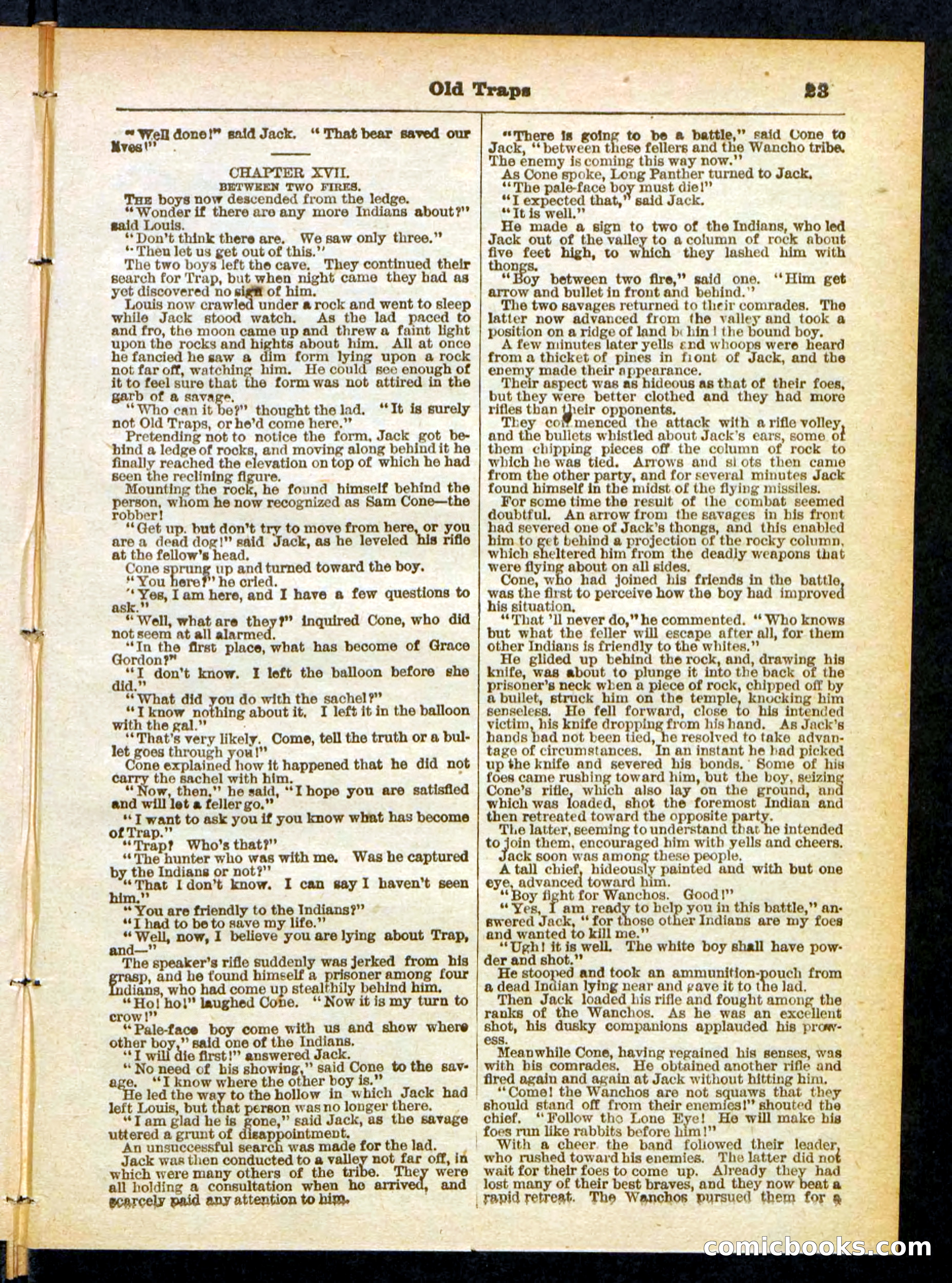 Beadle's Pocket Library No. 411 — page 23 of 32