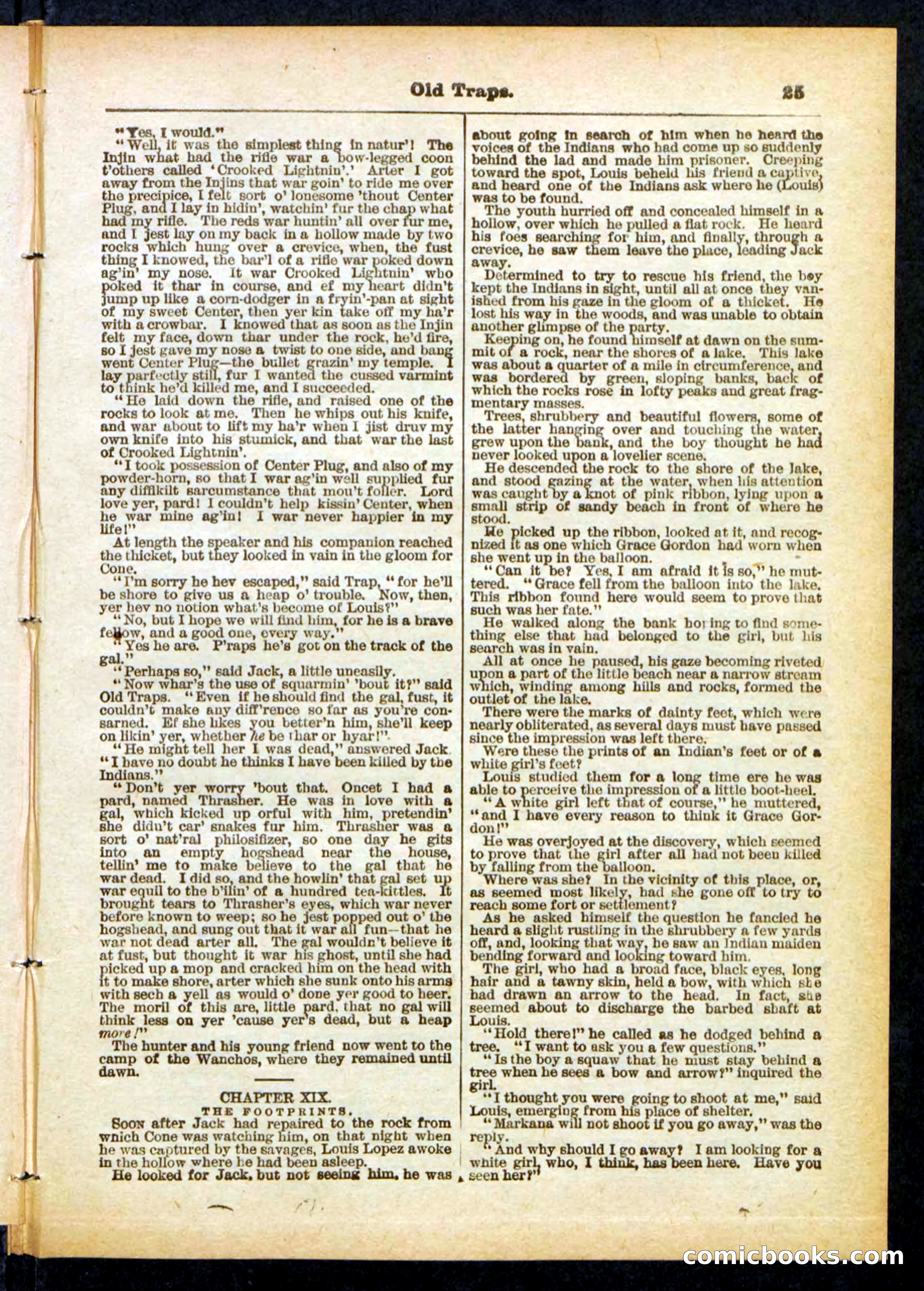 Beadle's Pocket Library No. 411 — page 25 of 32