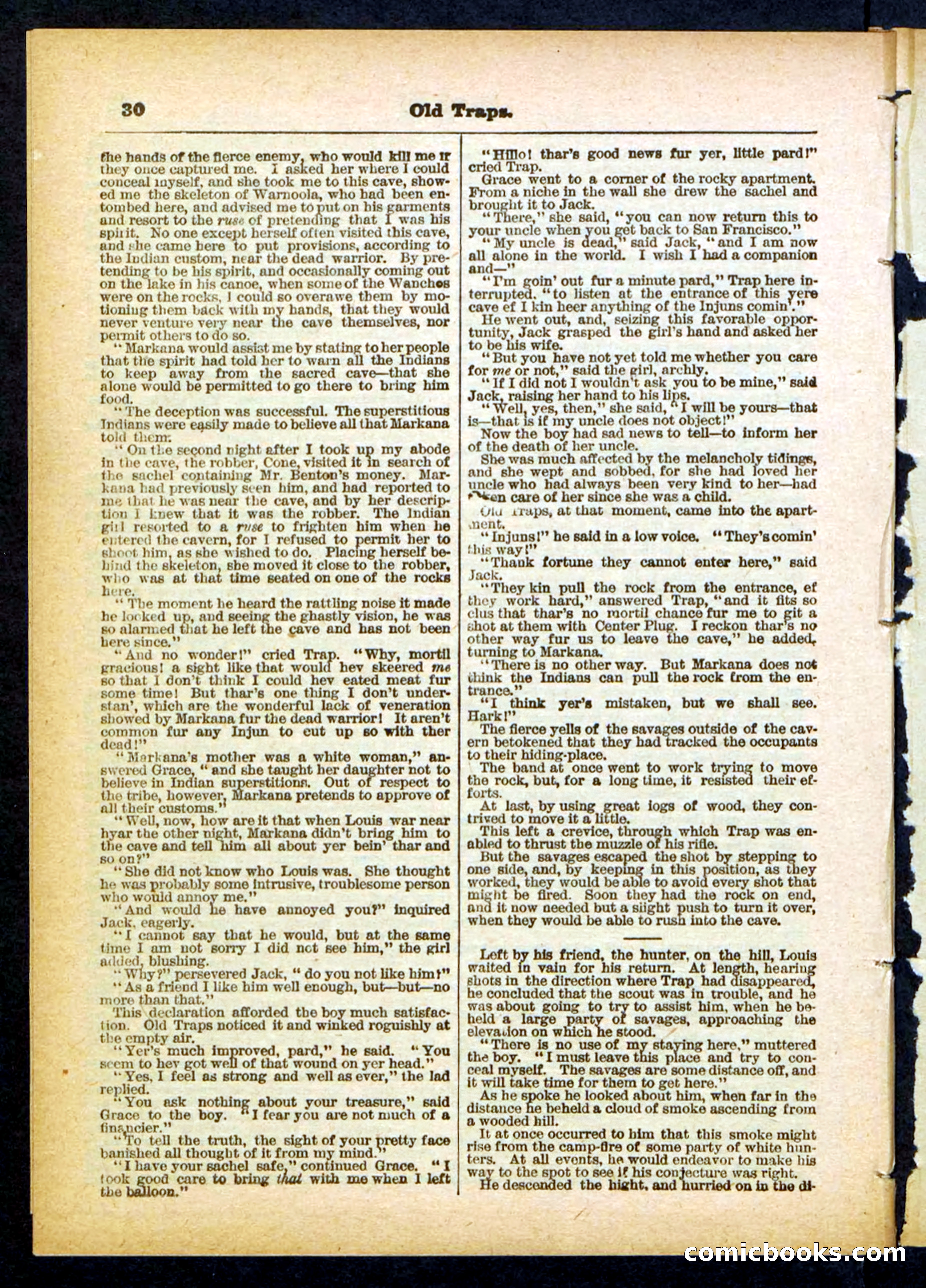 Beadle's Pocket Library No. 411 — page 30 of 32