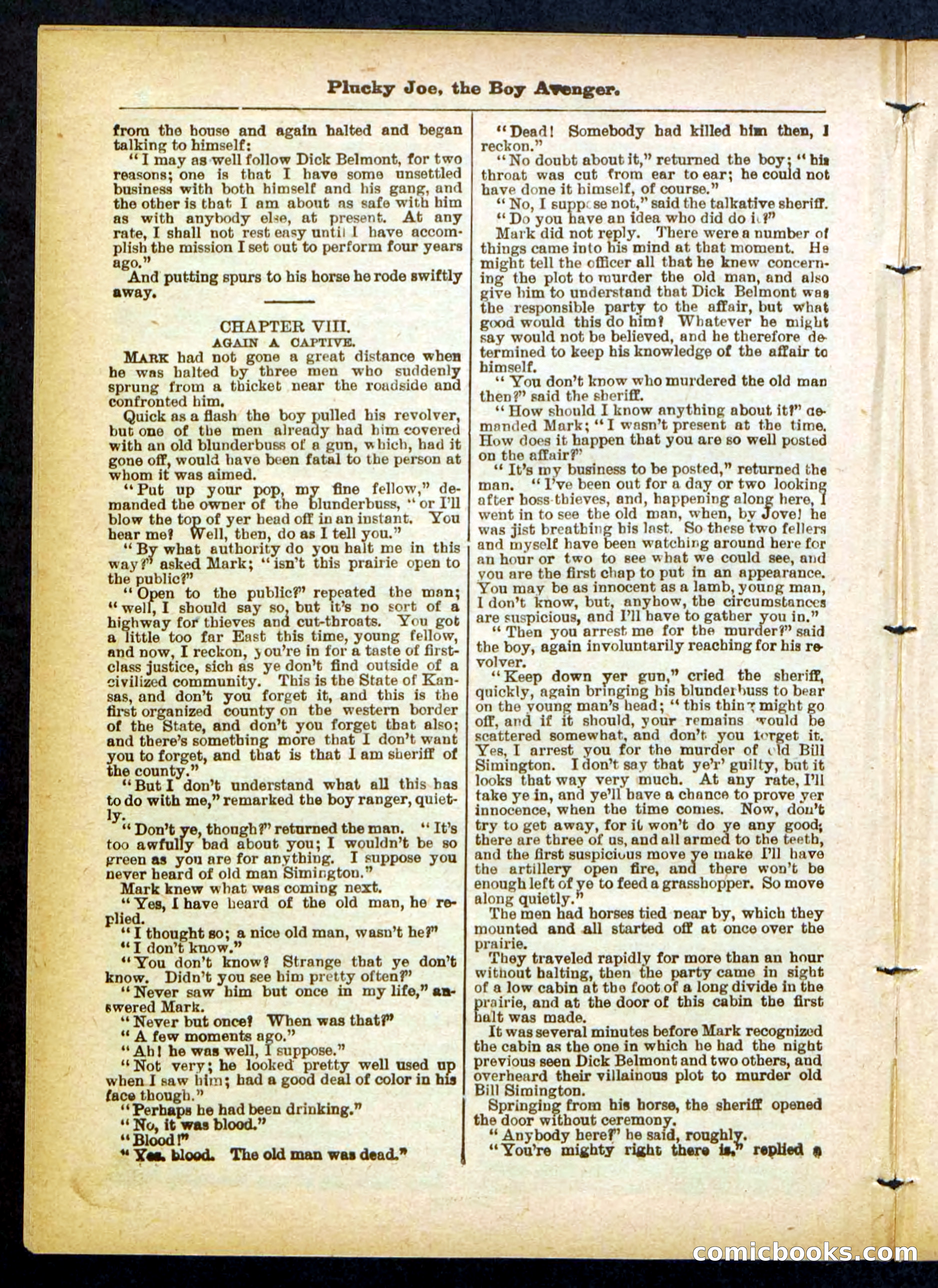 Beadle's Pocket Library No. 414 — page 10 of 32