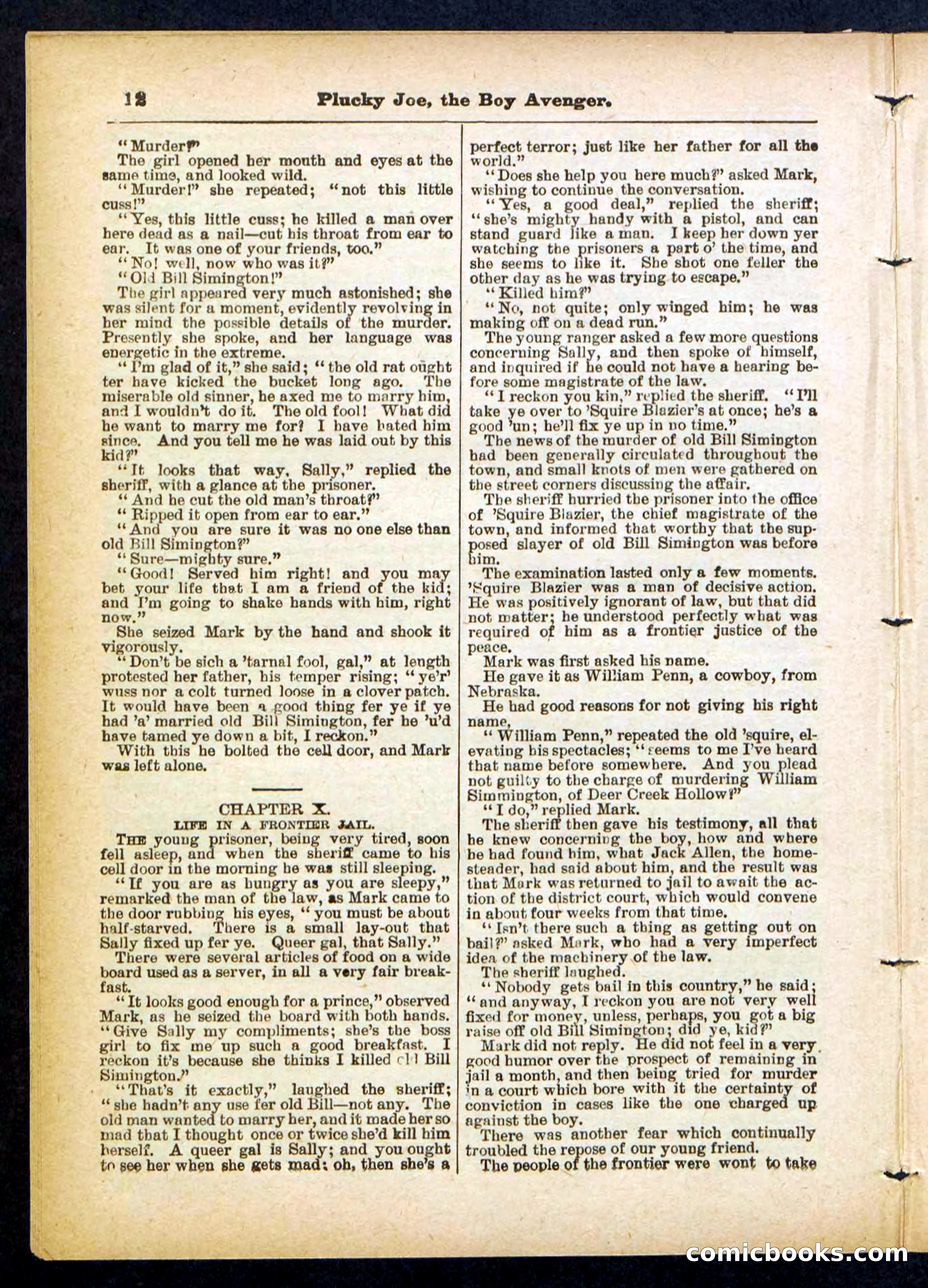 Beadle's Pocket Library No. 414 — page 12 of 32