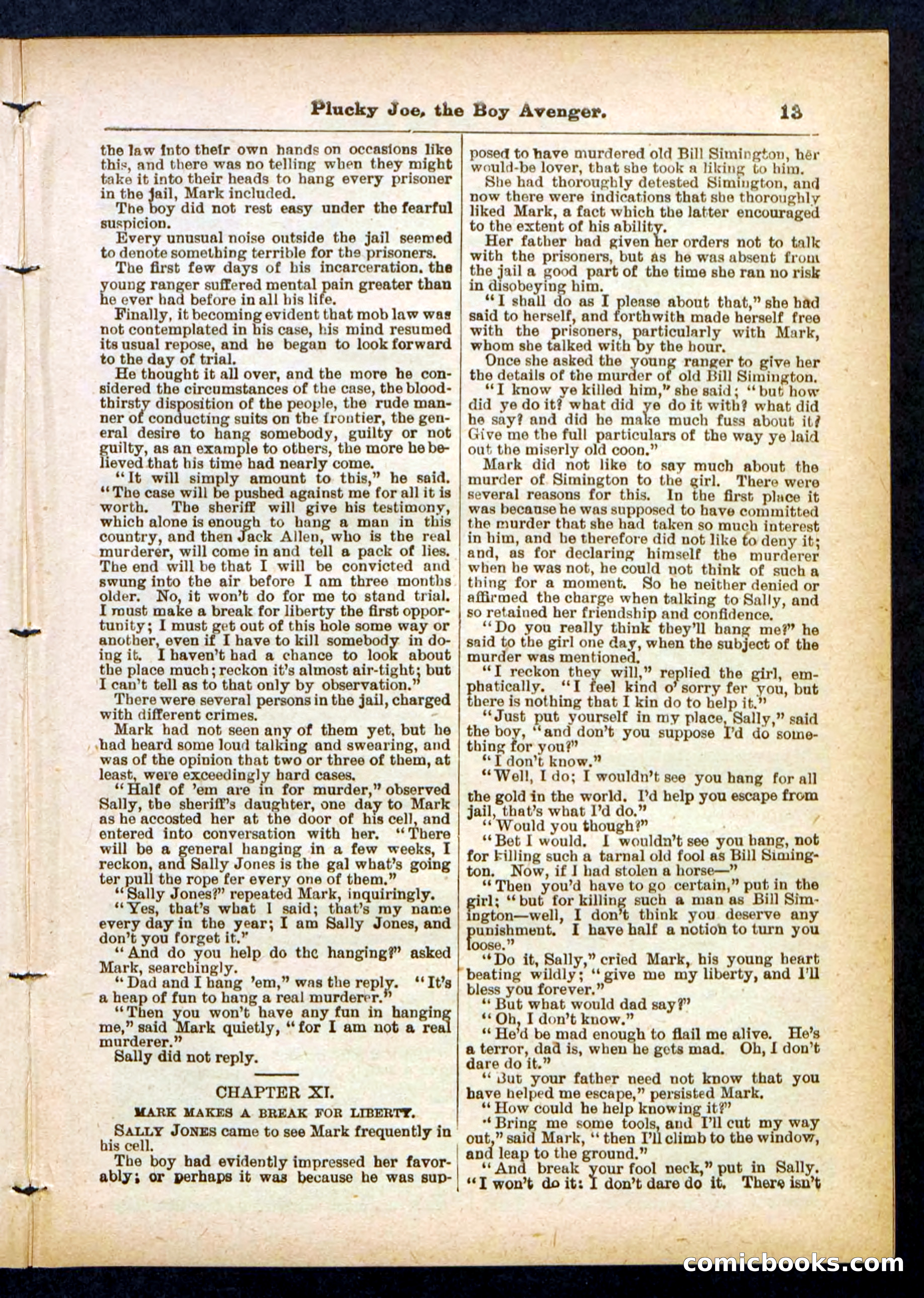 Beadle's Pocket Library No. 414 — page 13 of 32