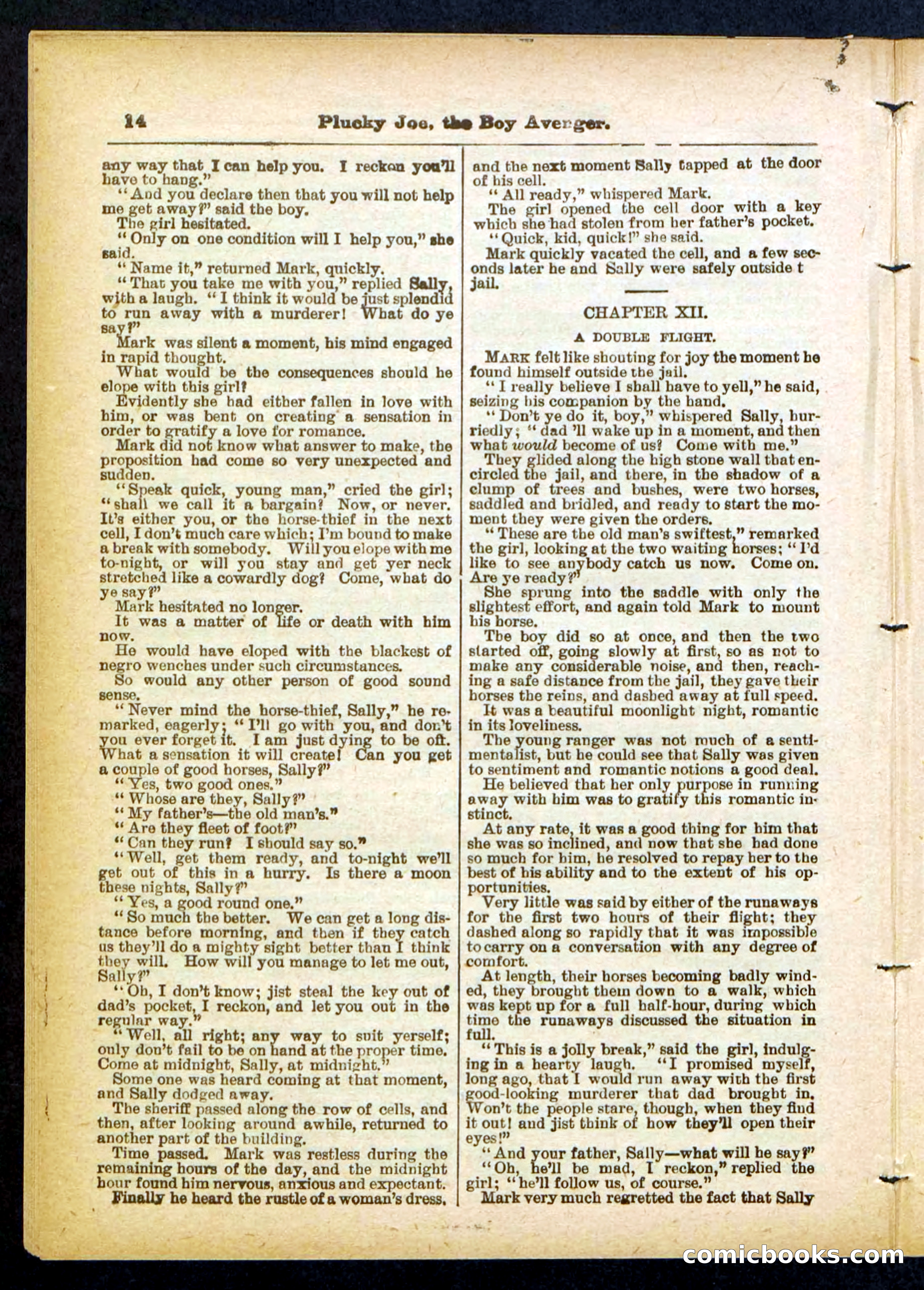 Beadle's Pocket Library No. 414 — page 14 of 32