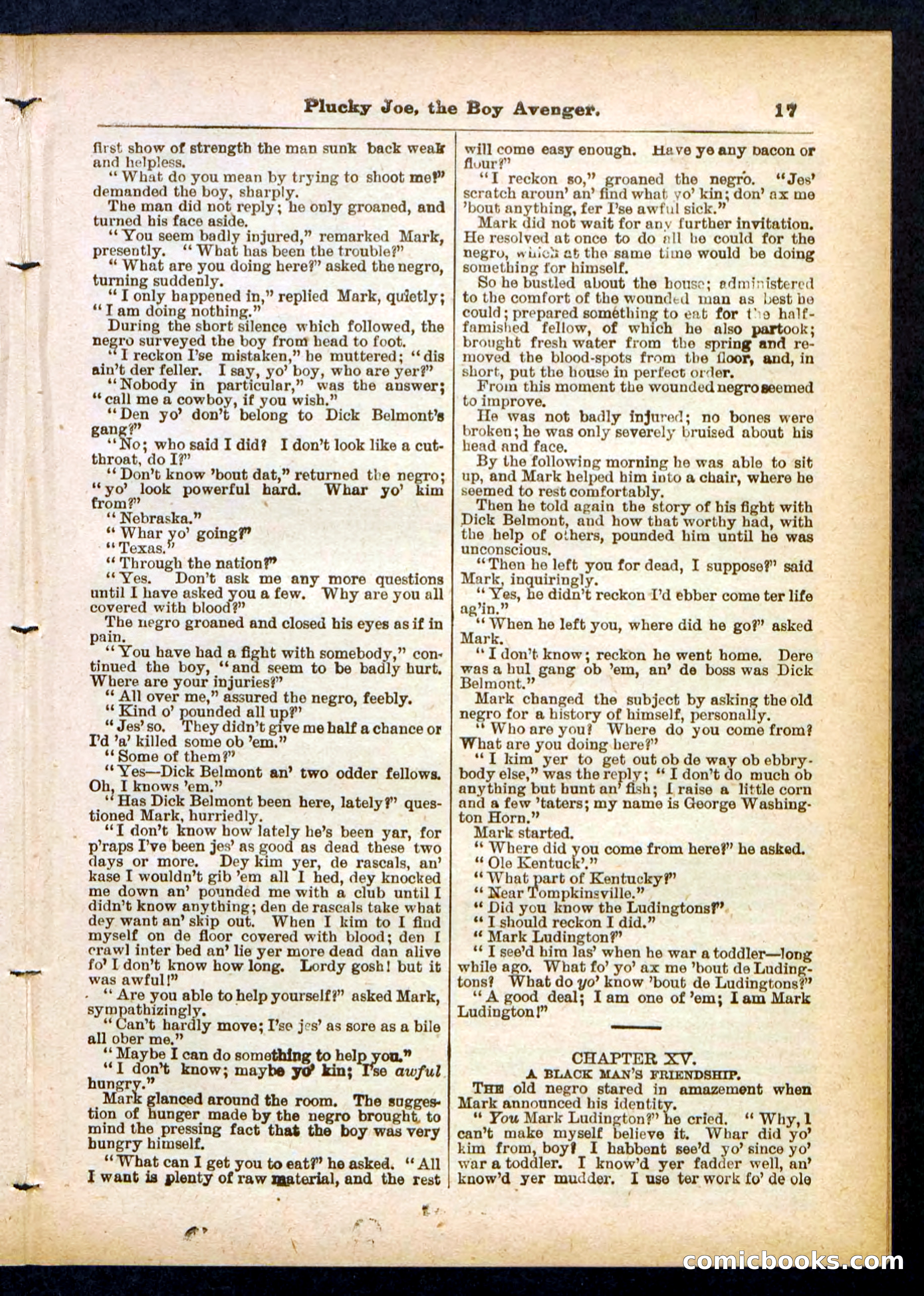 Beadle's Pocket Library No. 414 — page 17 of 32