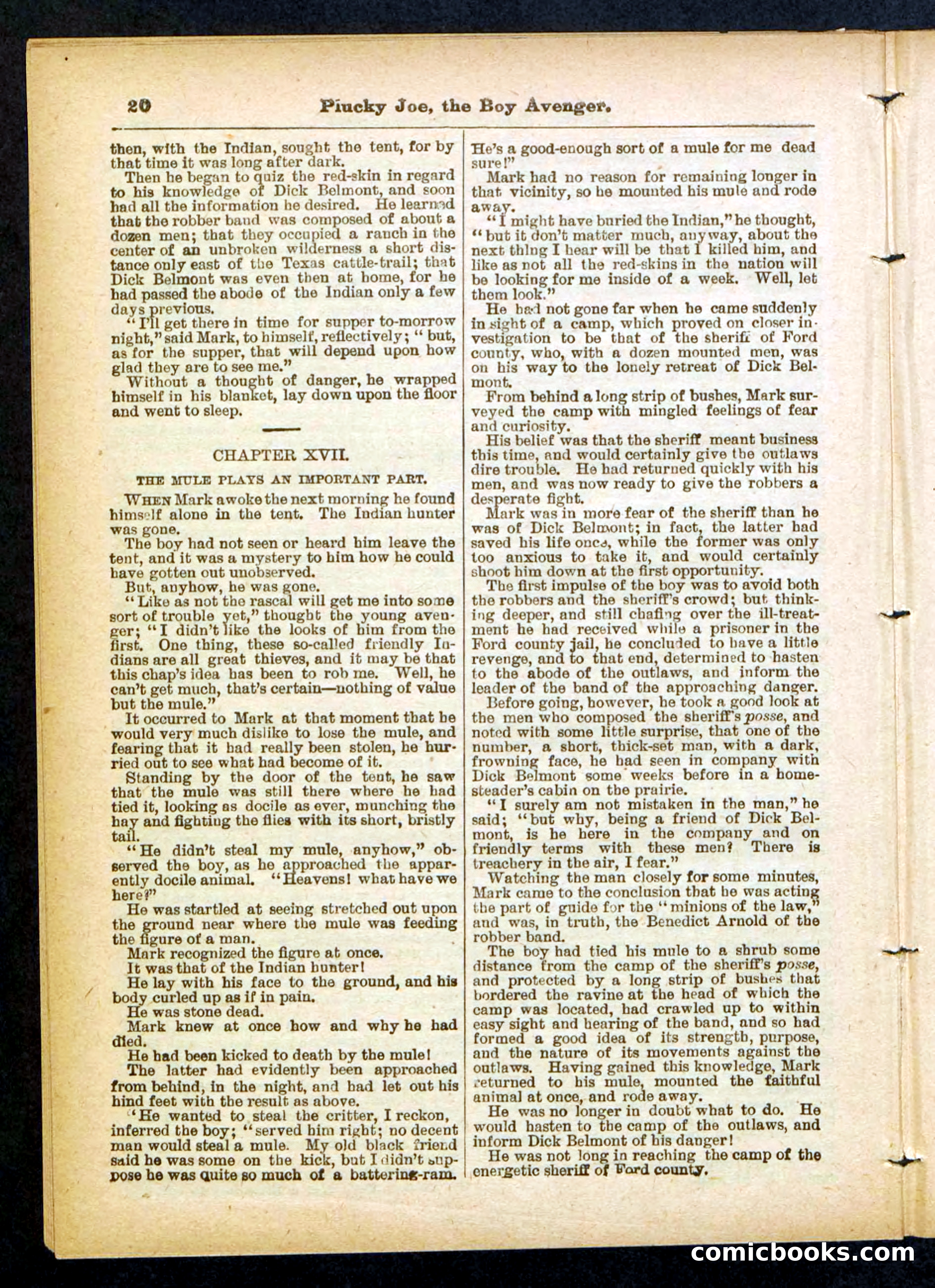 Beadle's Pocket Library No. 414 — page 20 of 32
