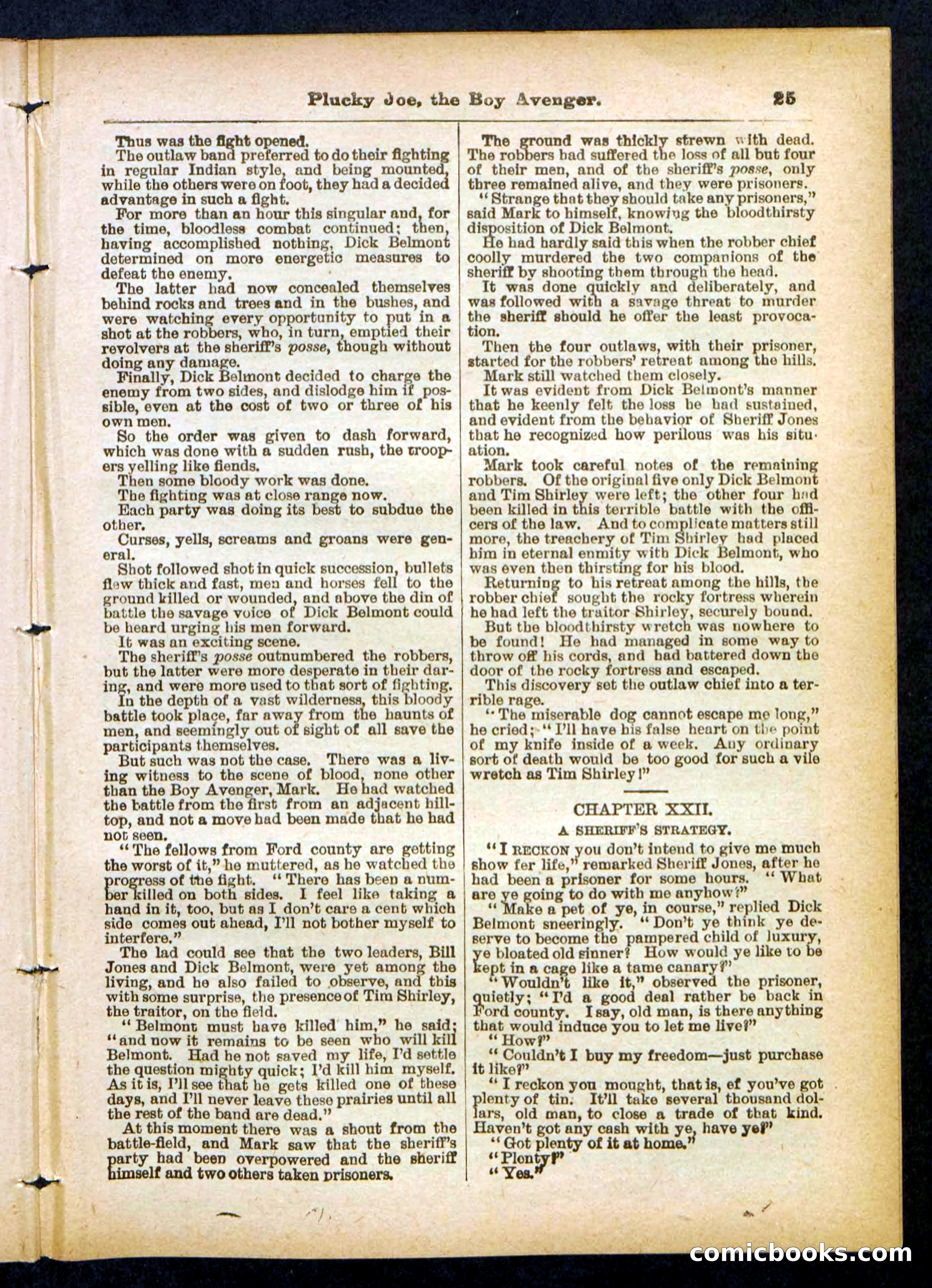 Beadle's Pocket Library No. 414 — page 25 of 32