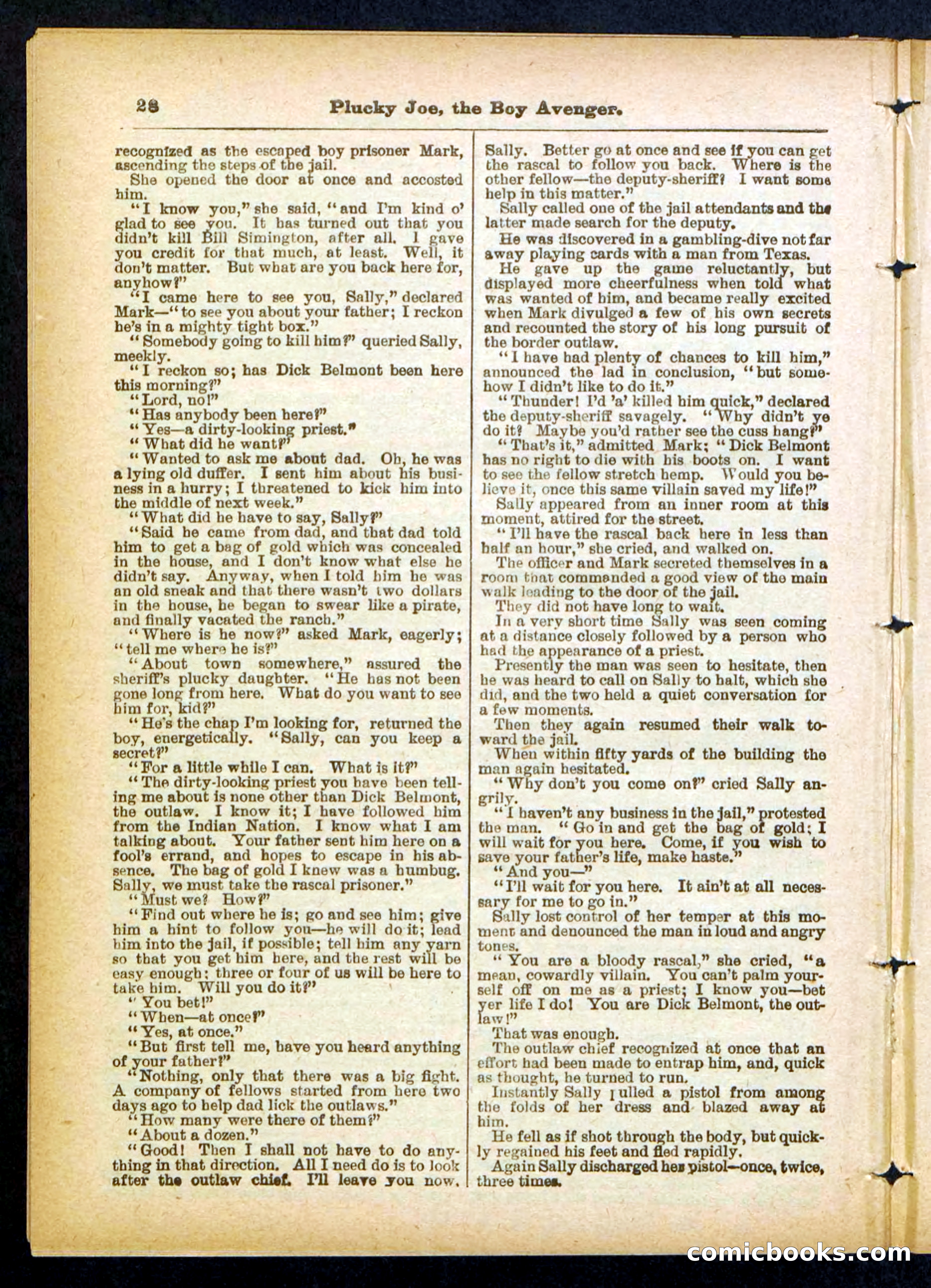 Beadle's Pocket Library No. 414 — page 28 of 32