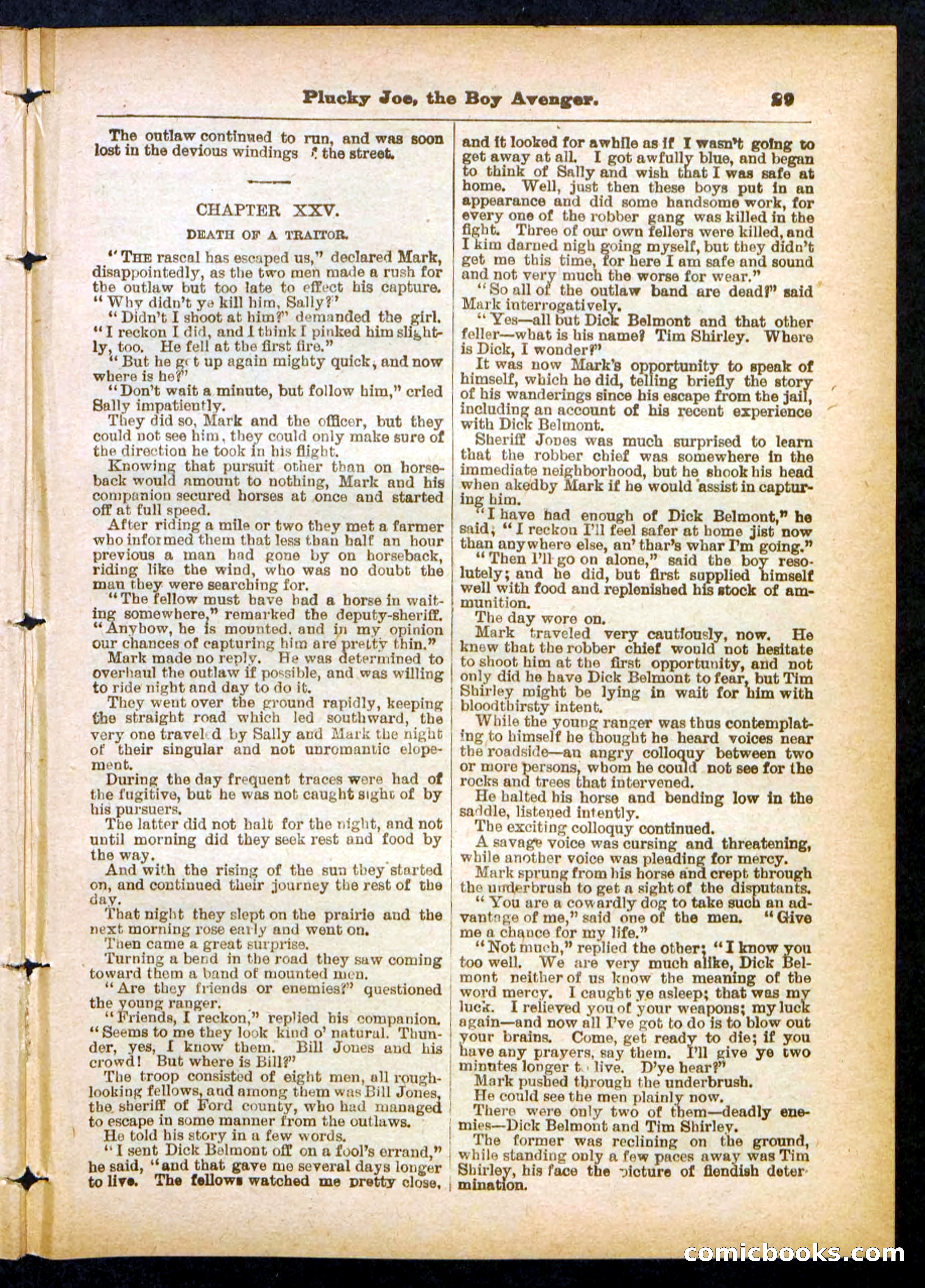 Beadle's Pocket Library No. 414 — page 29 of 32