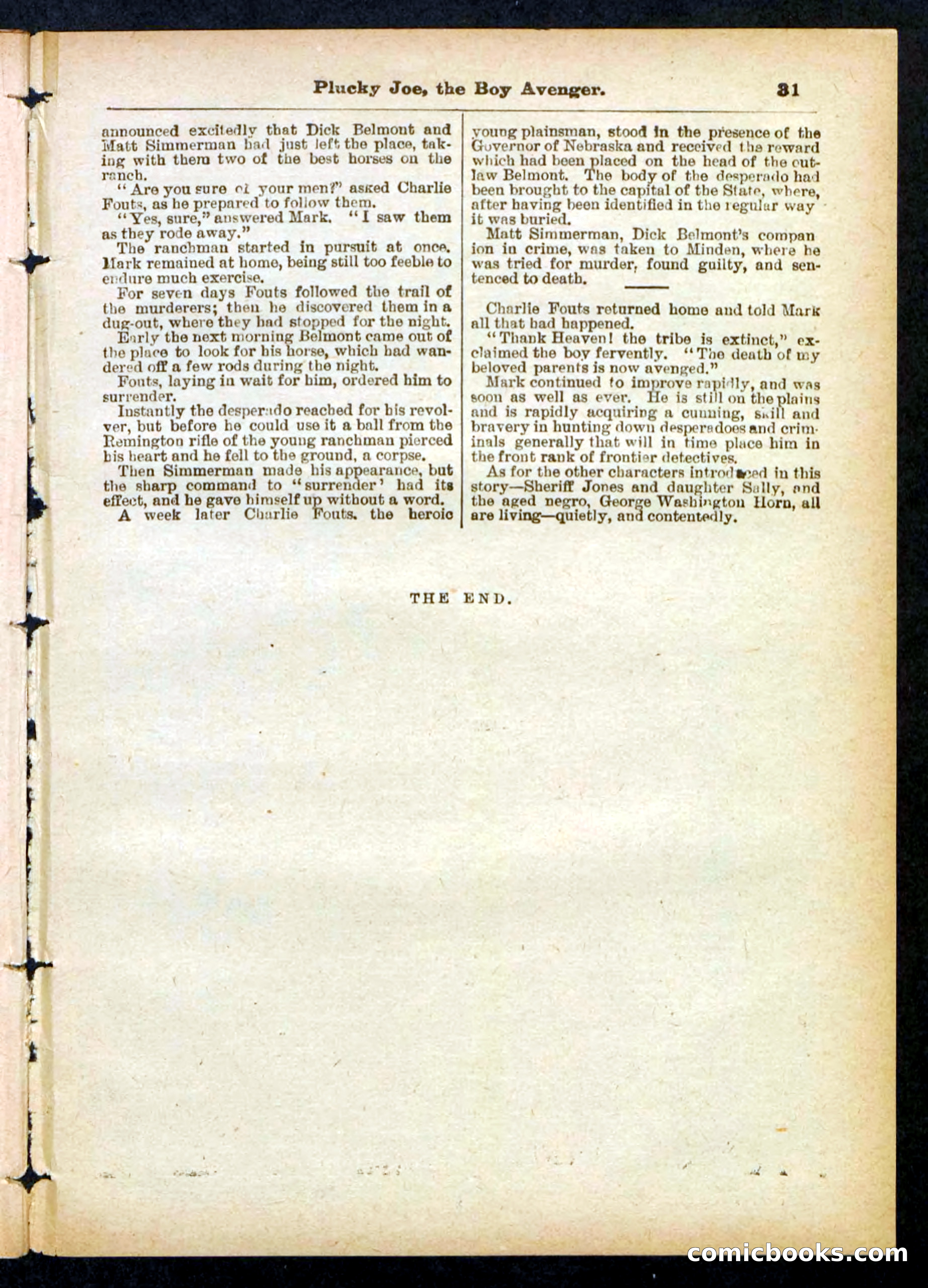 Beadle's Pocket Library No. 414 — page 31 of 32