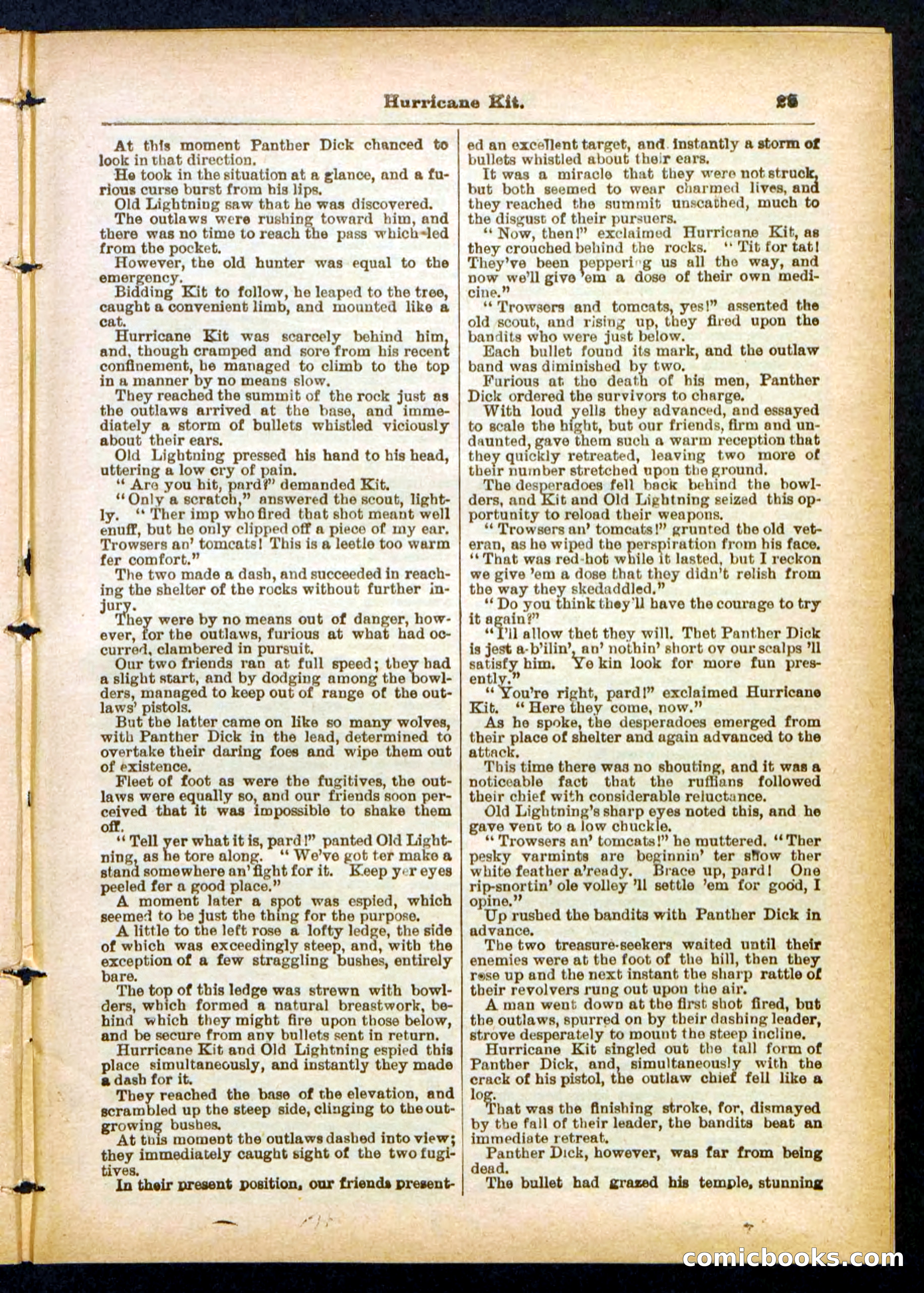 Panther Dick's Death-Leap — page 25 of 32