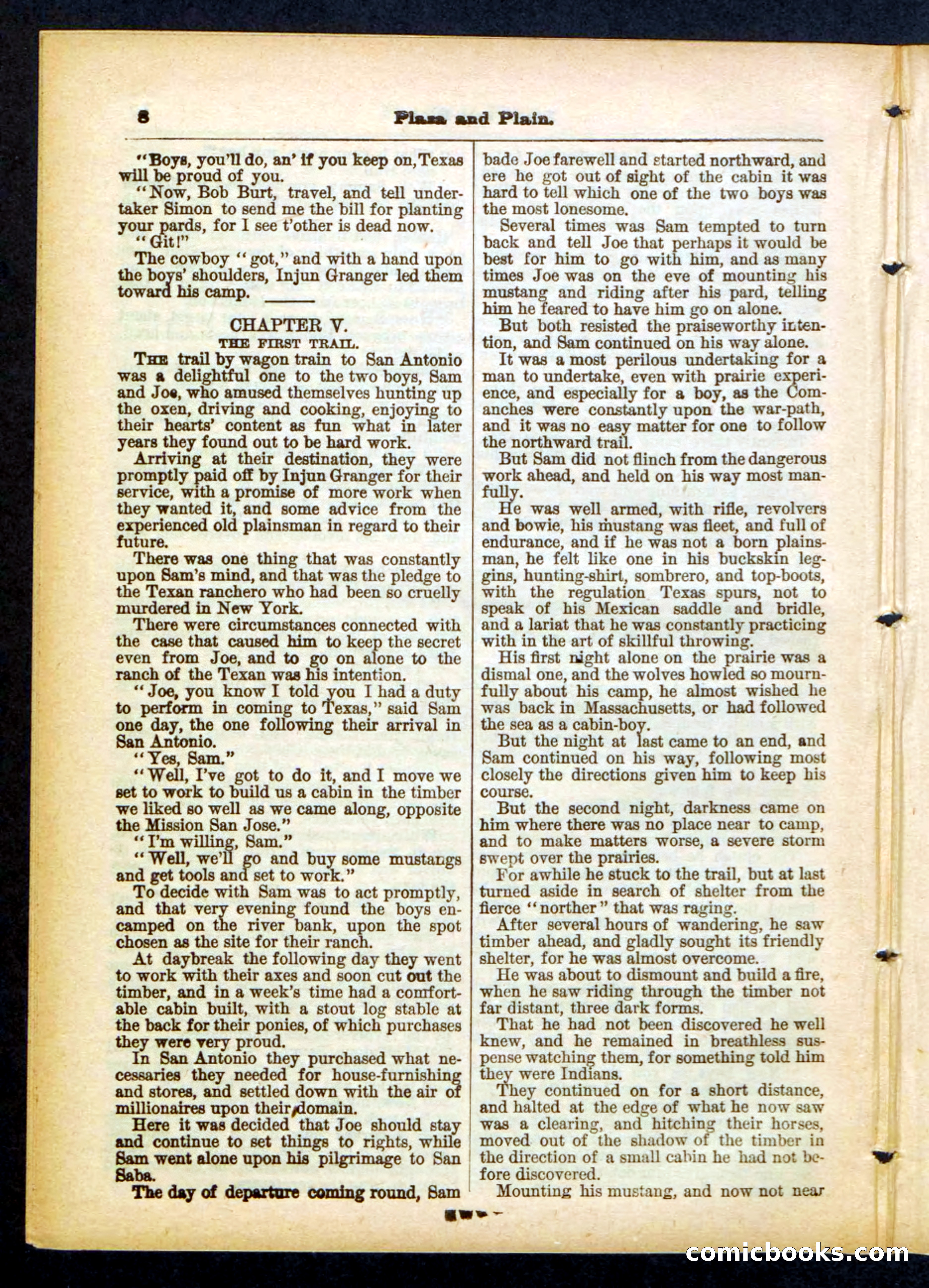 Beadle's Pocket Library No. 418 — page 8 of 32