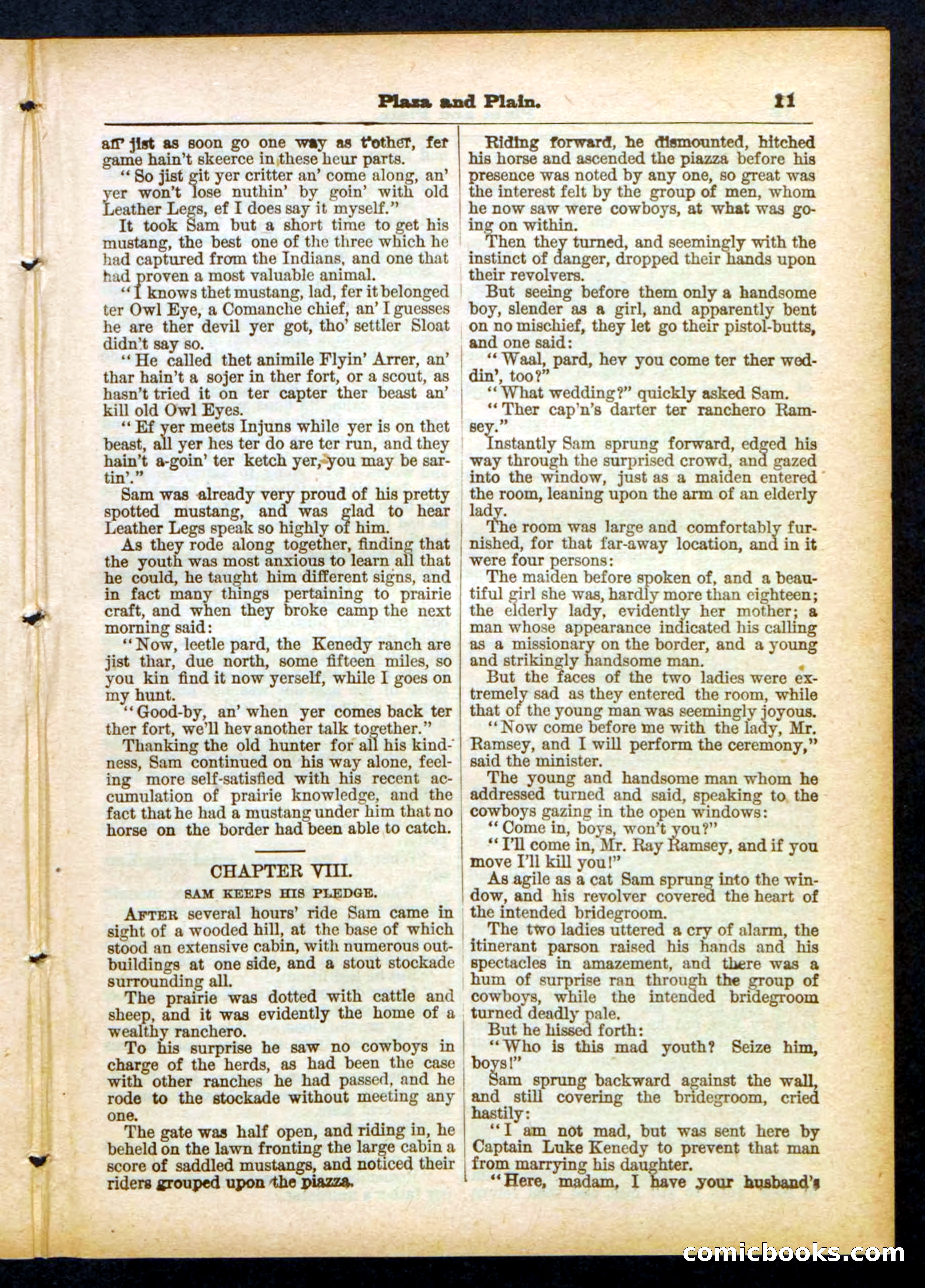 Beadle's Pocket Library No. 418 — page 11 of 32