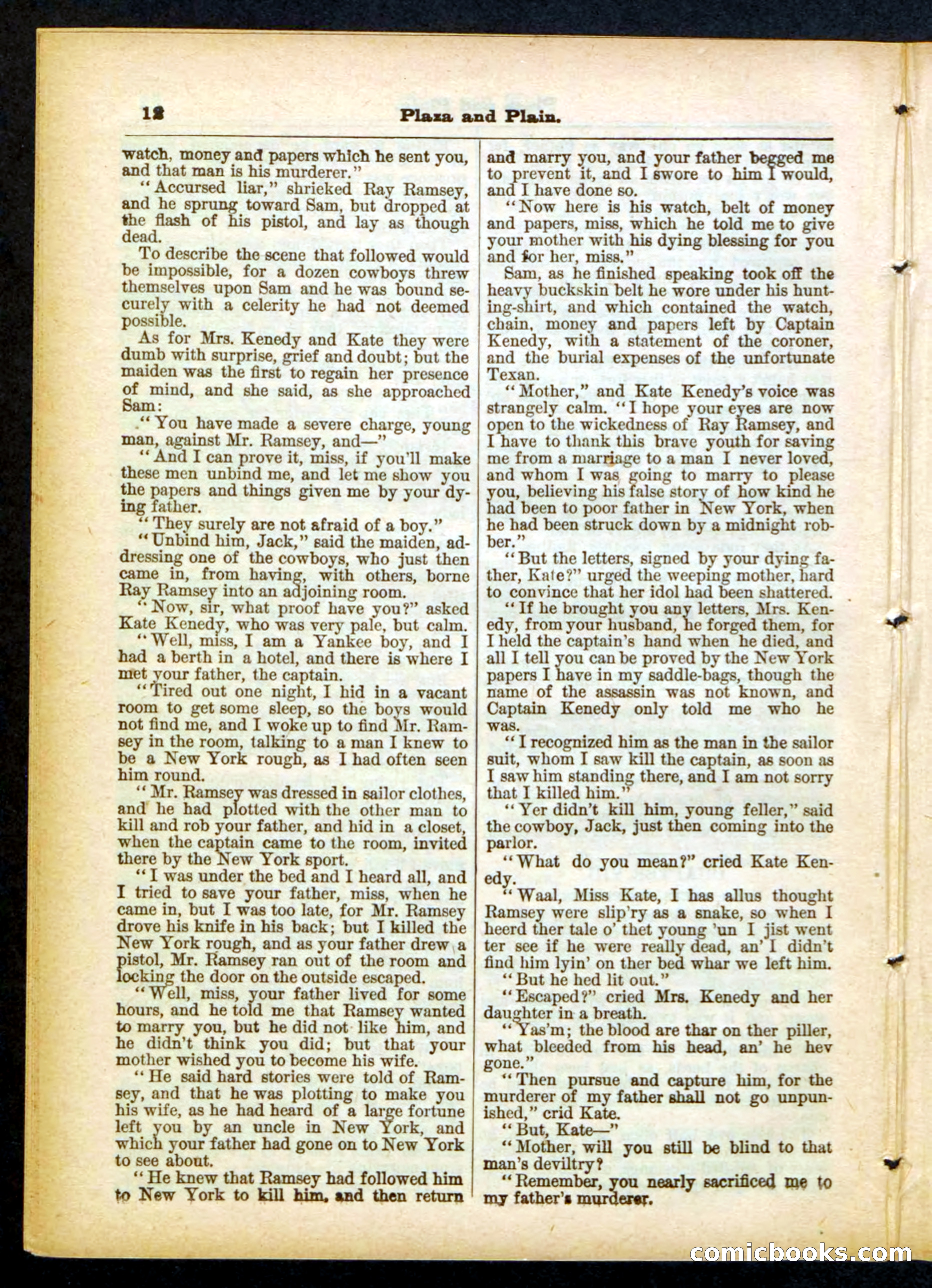 Beadle's Pocket Library No. 418 — page 12 of 32