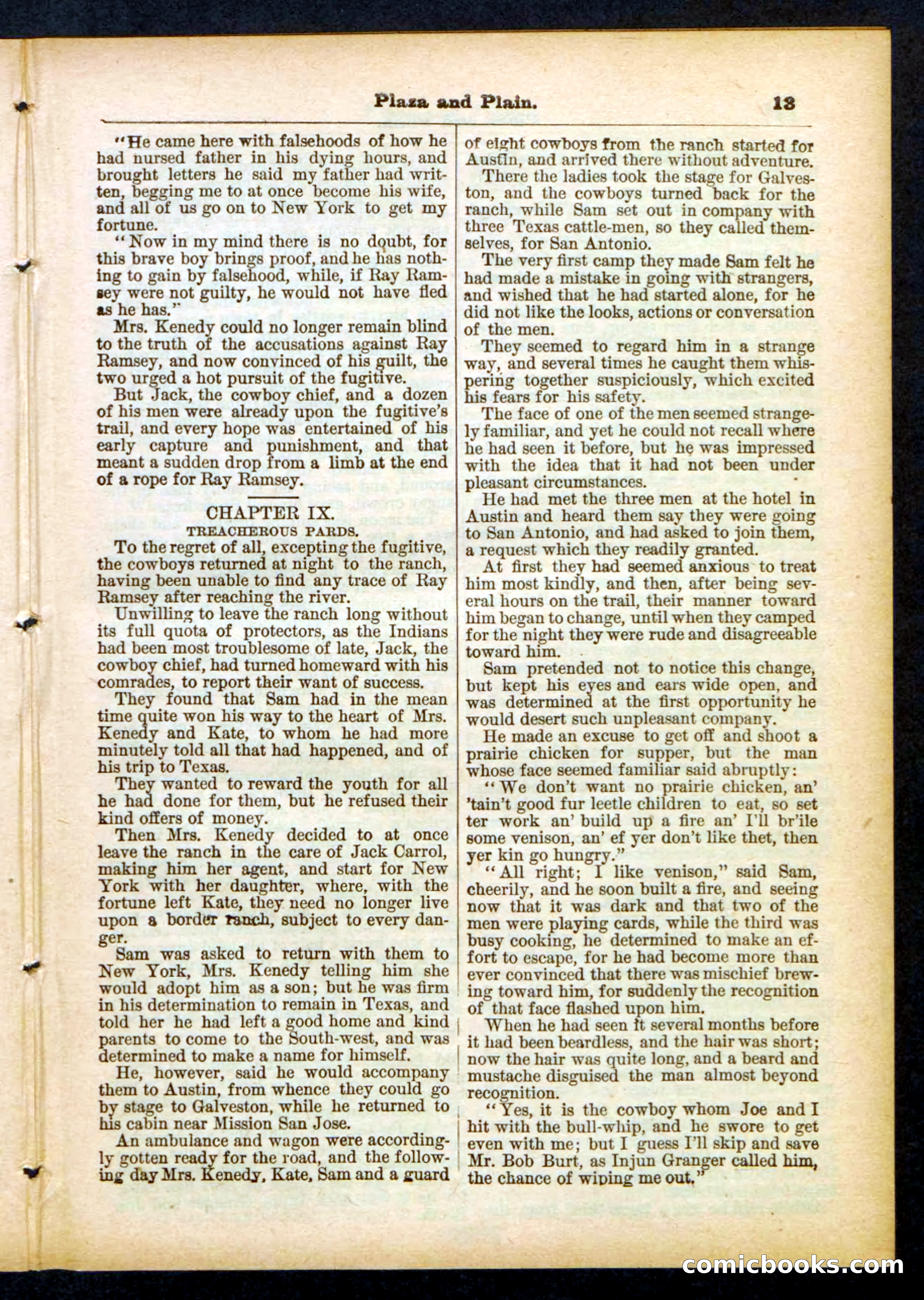 Beadle's Pocket Library No. 418 — page 13 of 32