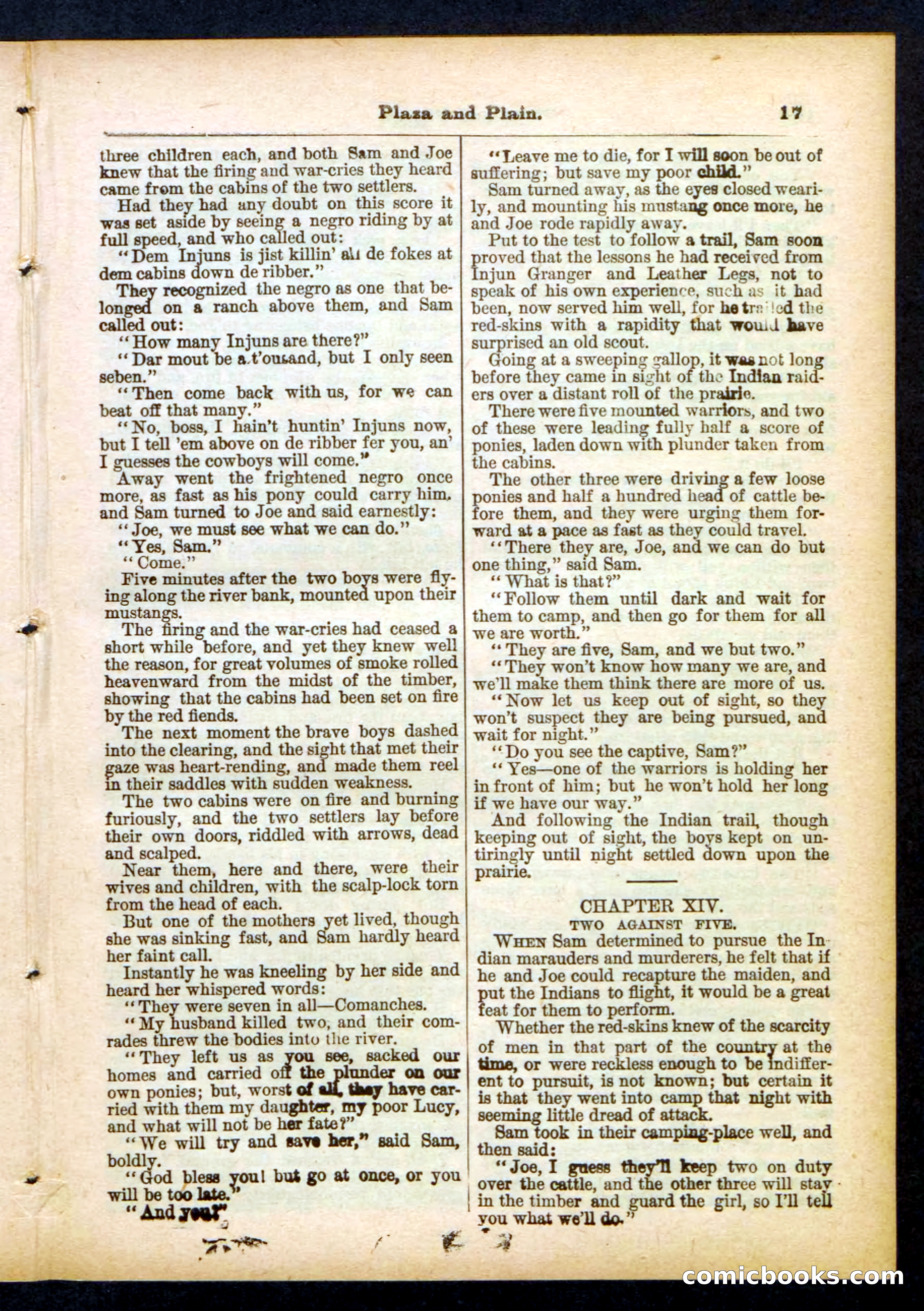 Beadle's Pocket Library No. 418 — page 17 of 32