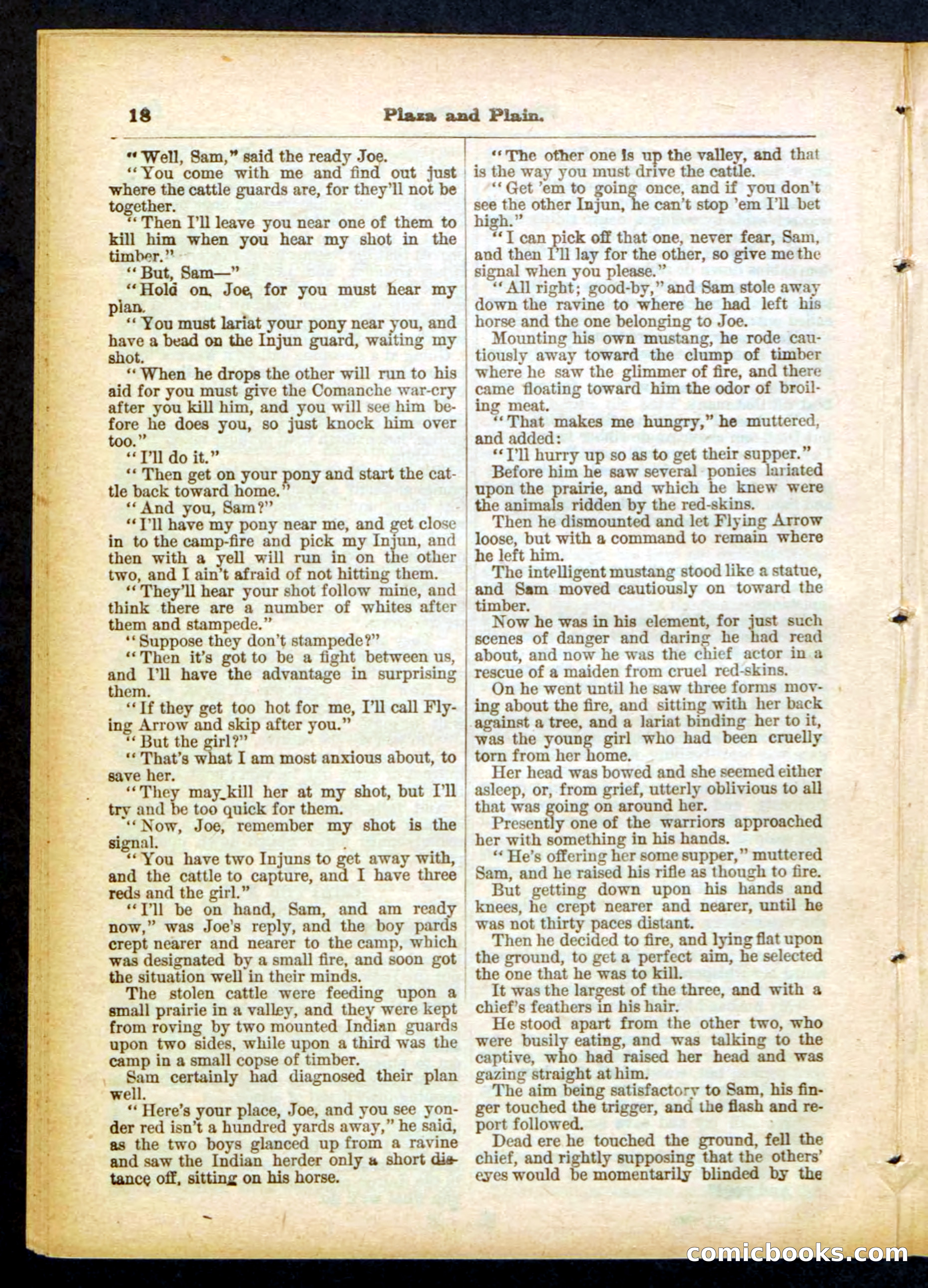 Beadle's Pocket Library No. 418 — page 18 of 32