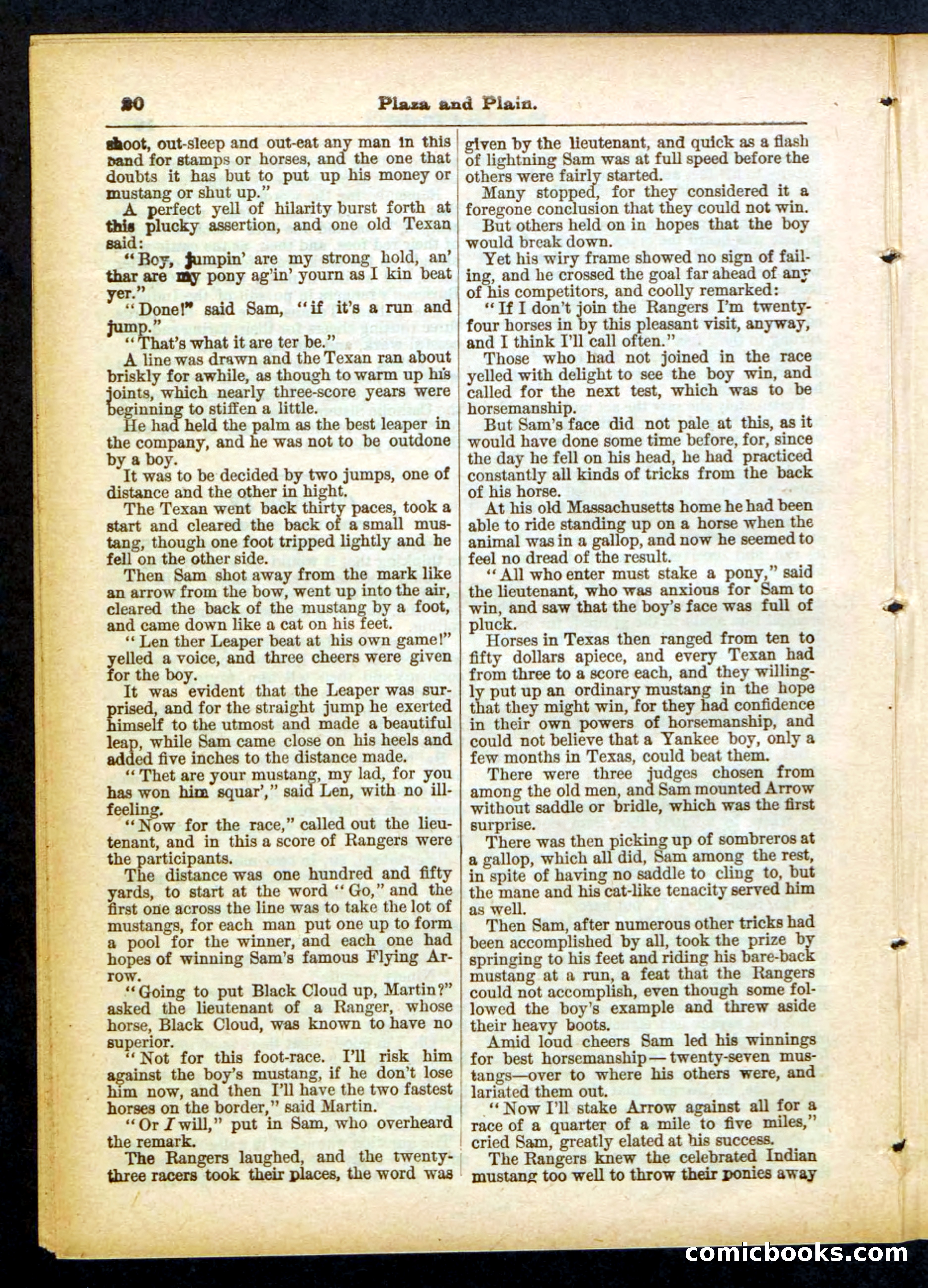 Beadle's Pocket Library No. 418 — page 20 of 32
