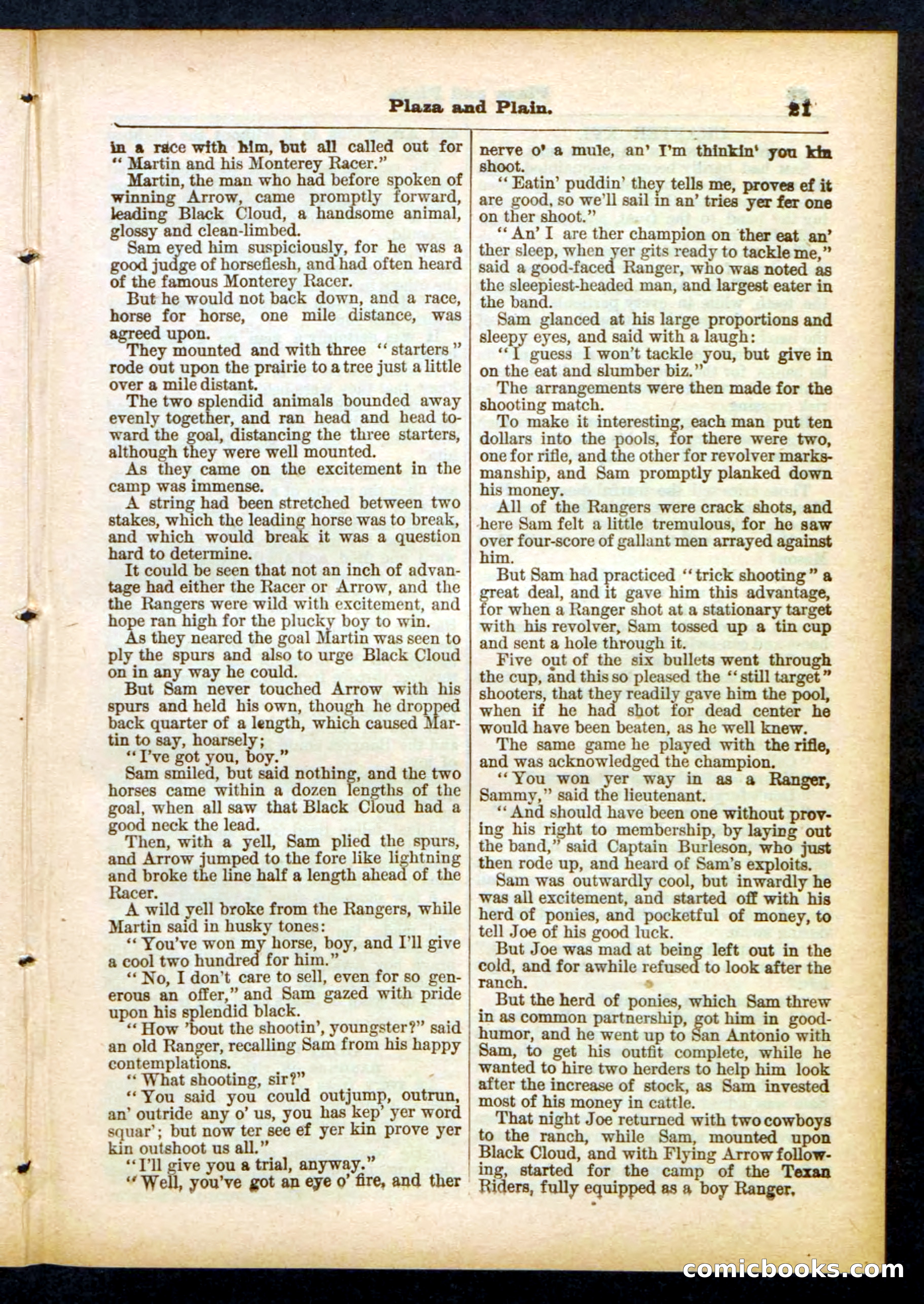 Beadle's Pocket Library No. 418 — page 21 of 32