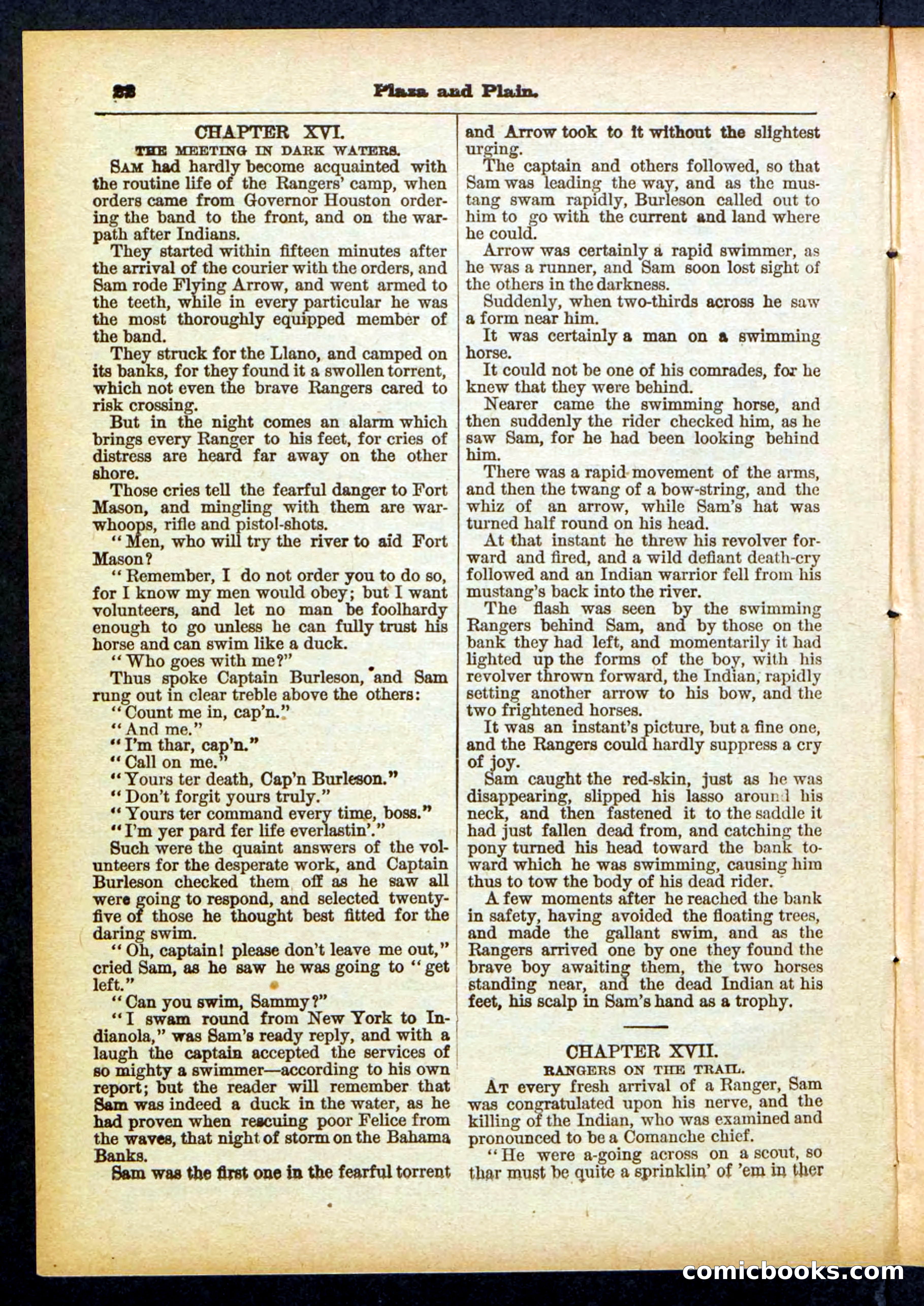 Beadle's Pocket Library No. 418 — page 22 of 32