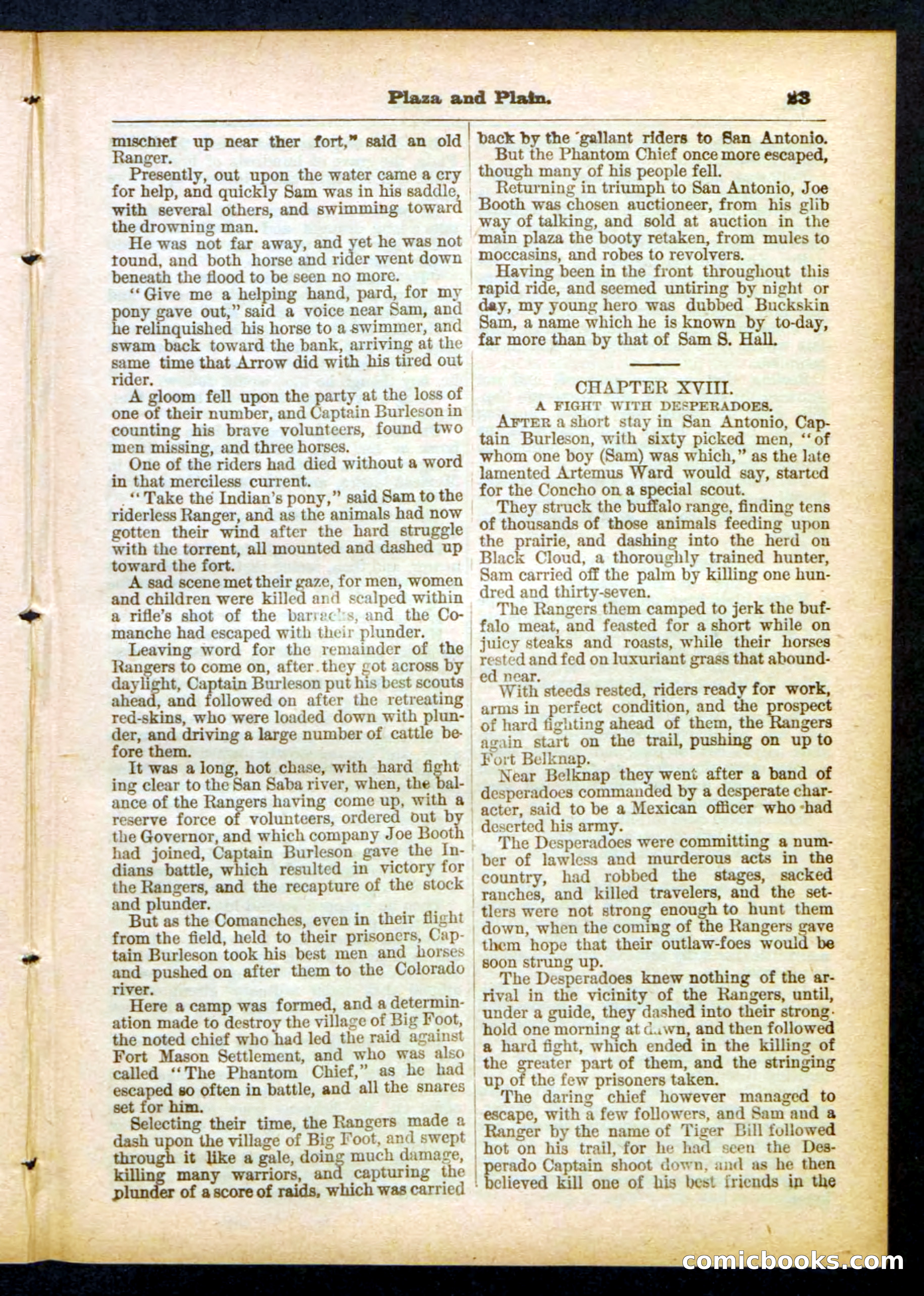 Beadle's Pocket Library No. 418 — page 23 of 32