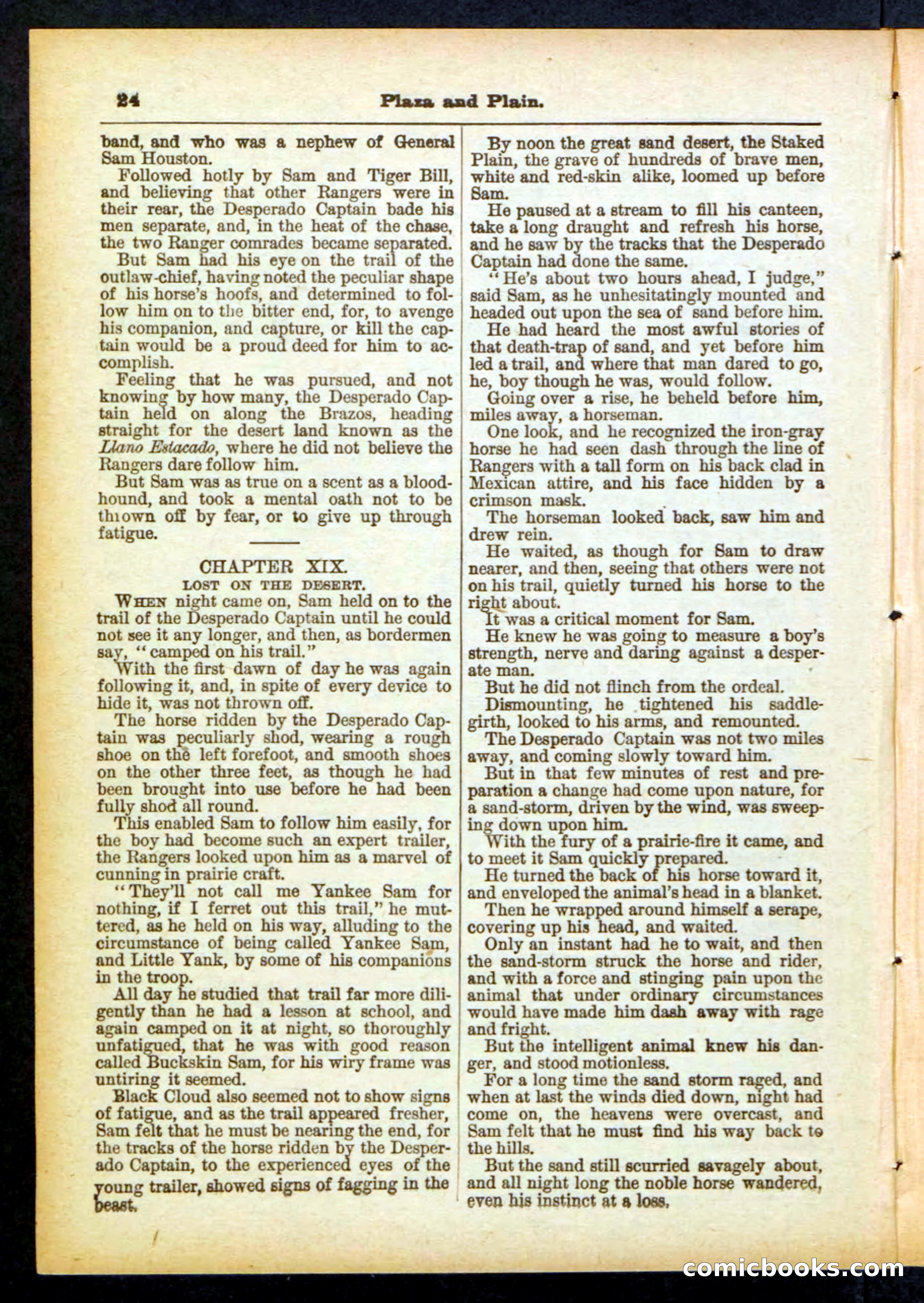 Beadle's Pocket Library No. 418 — page 24 of 32