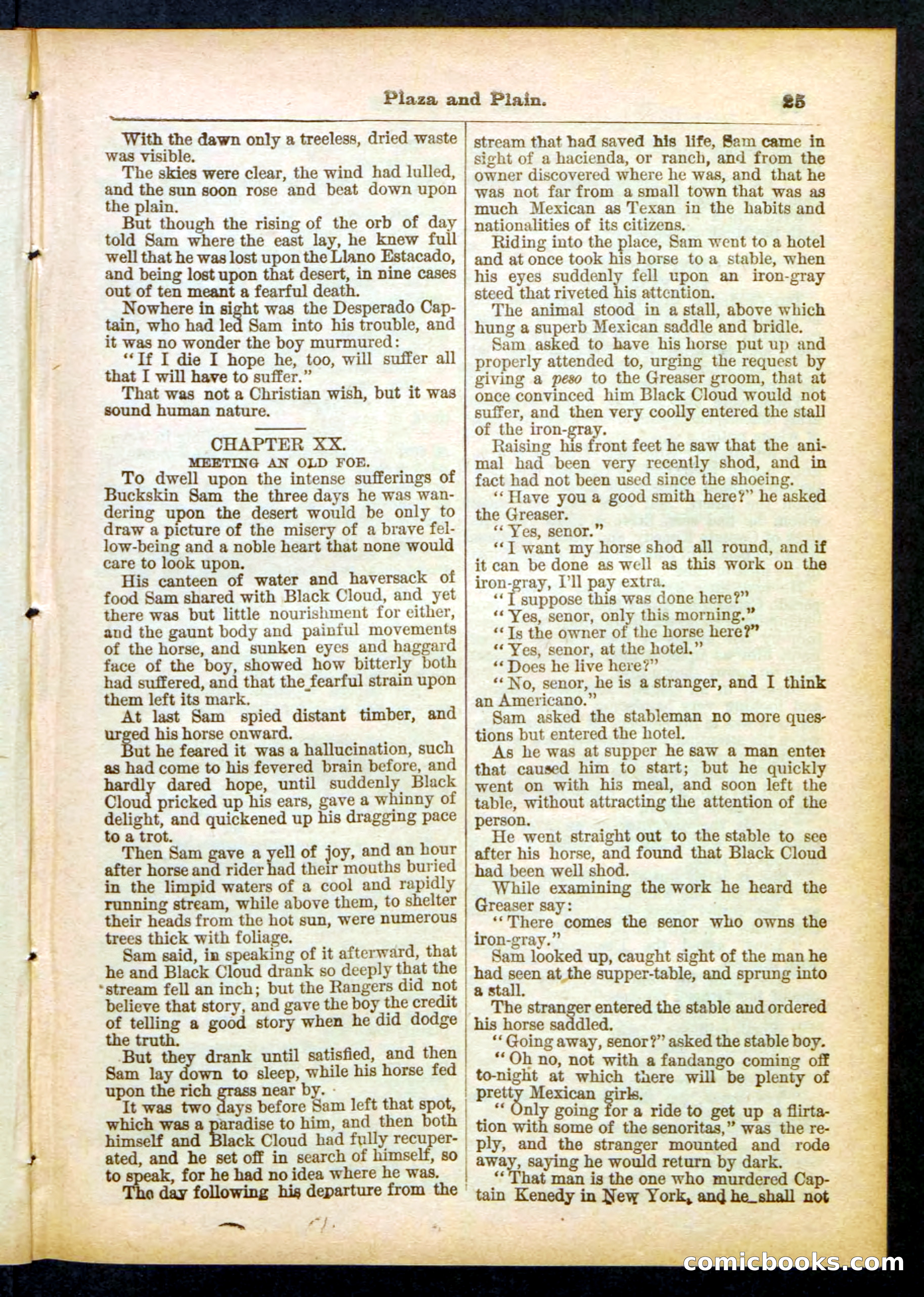 Beadle's Pocket Library No. 418 — page 25 of 32