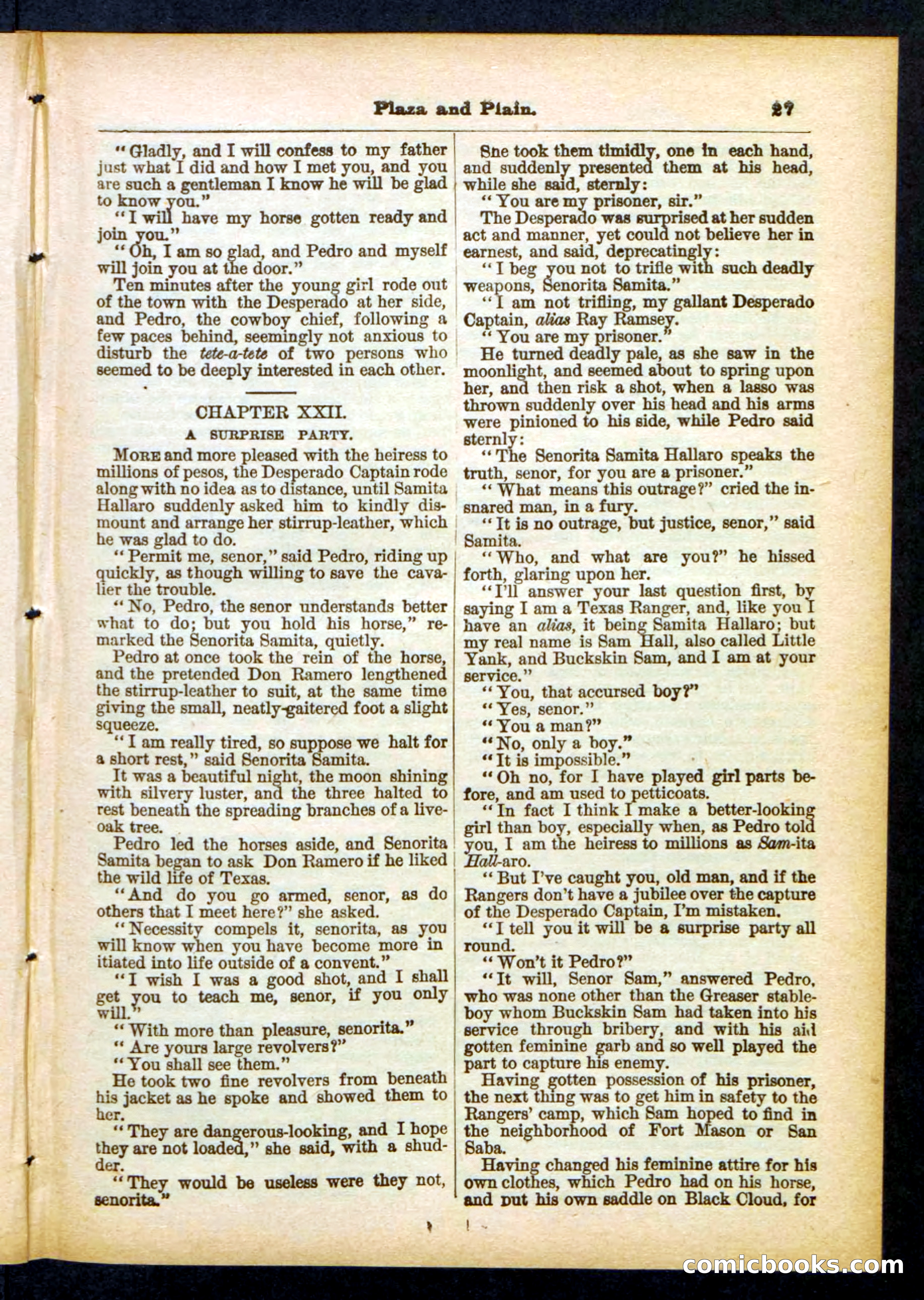 Beadle's Pocket Library No. 418 — page 27 of 32