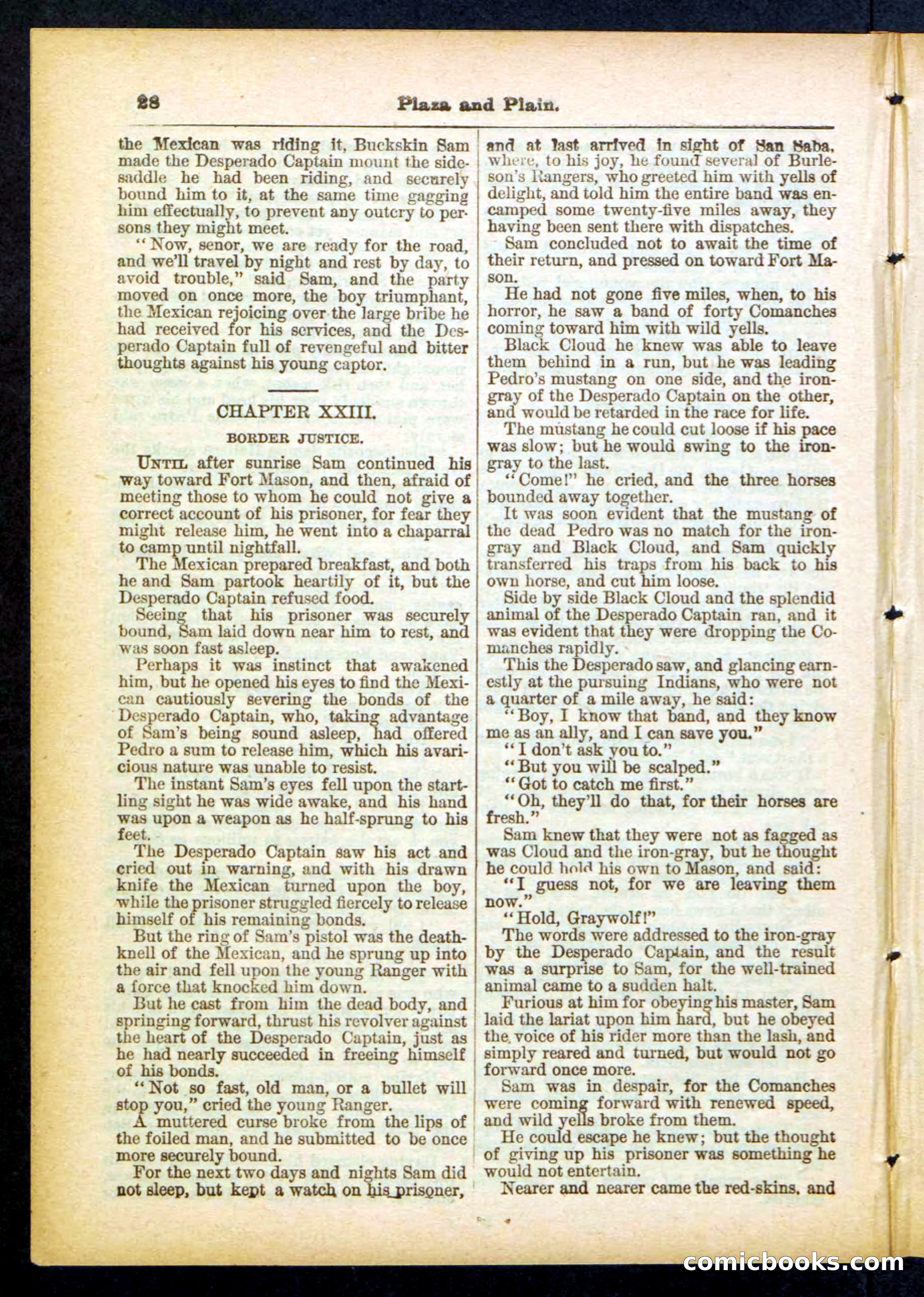 Beadle's Pocket Library No. 418 — page 28 of 32