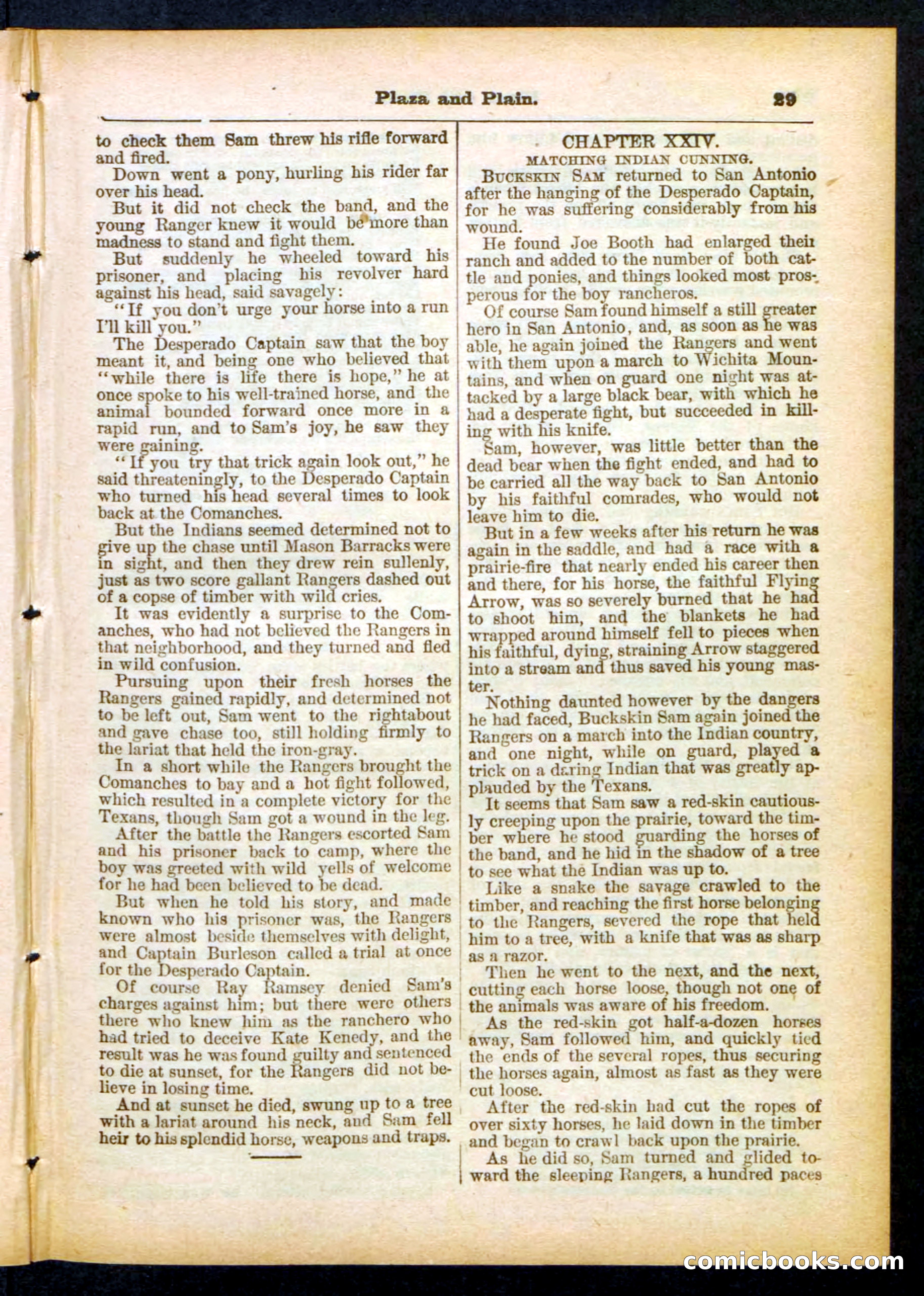 Beadle's Pocket Library No. 418 — page 29 of 32