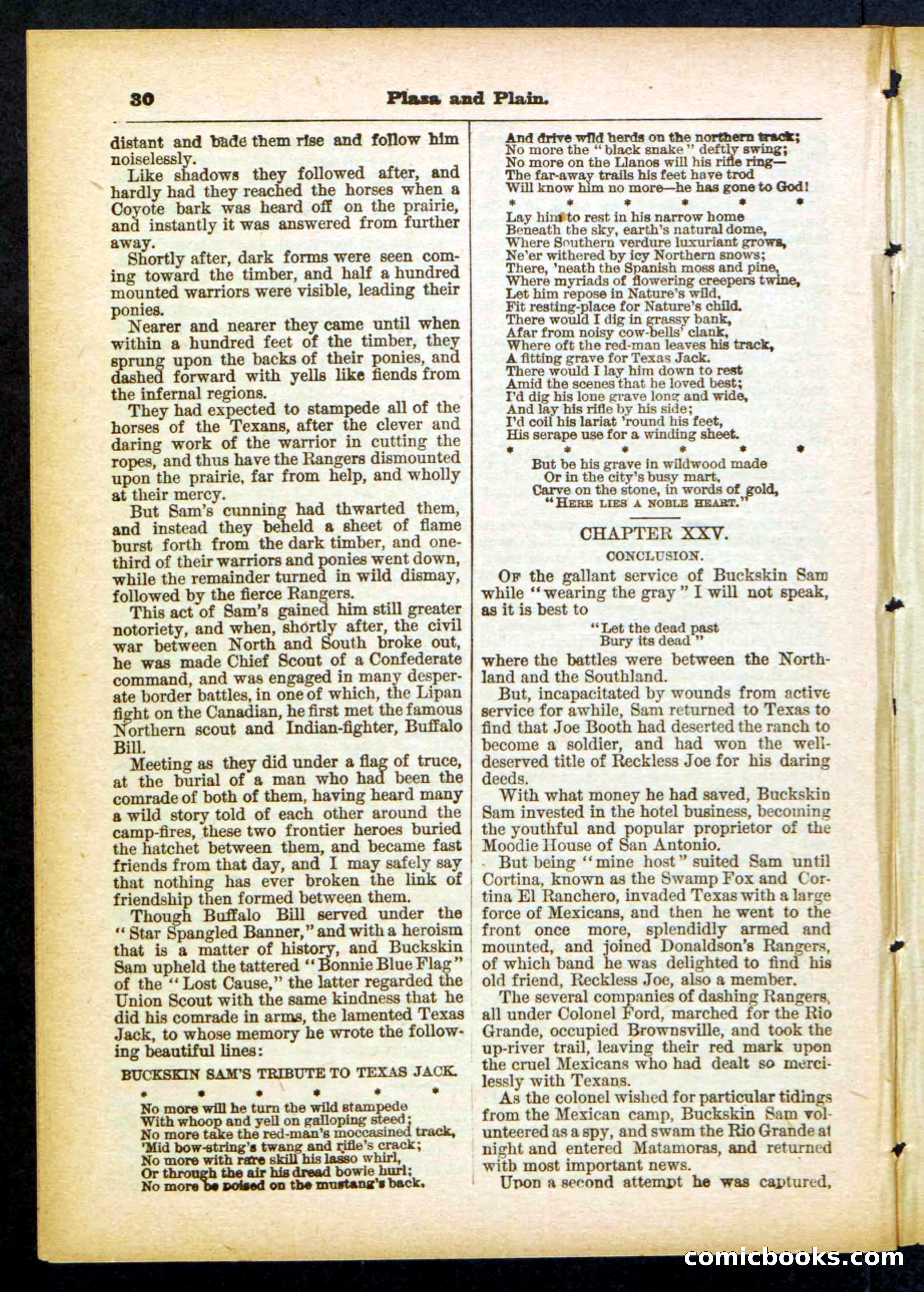 Beadle's Pocket Library No. 418 — page 30 of 32