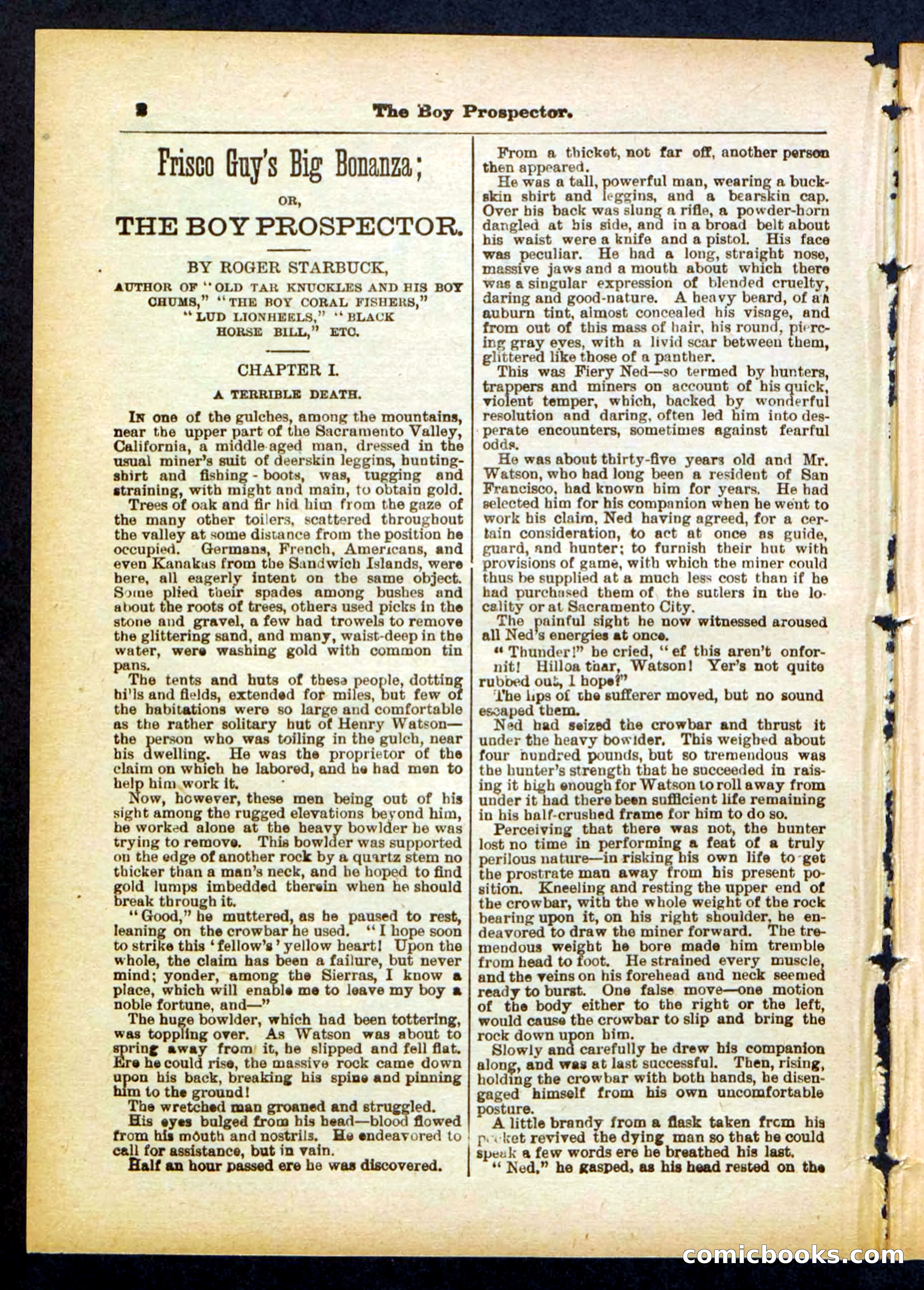 Beadle's Pocket Library No. 419 — page 2 of 32