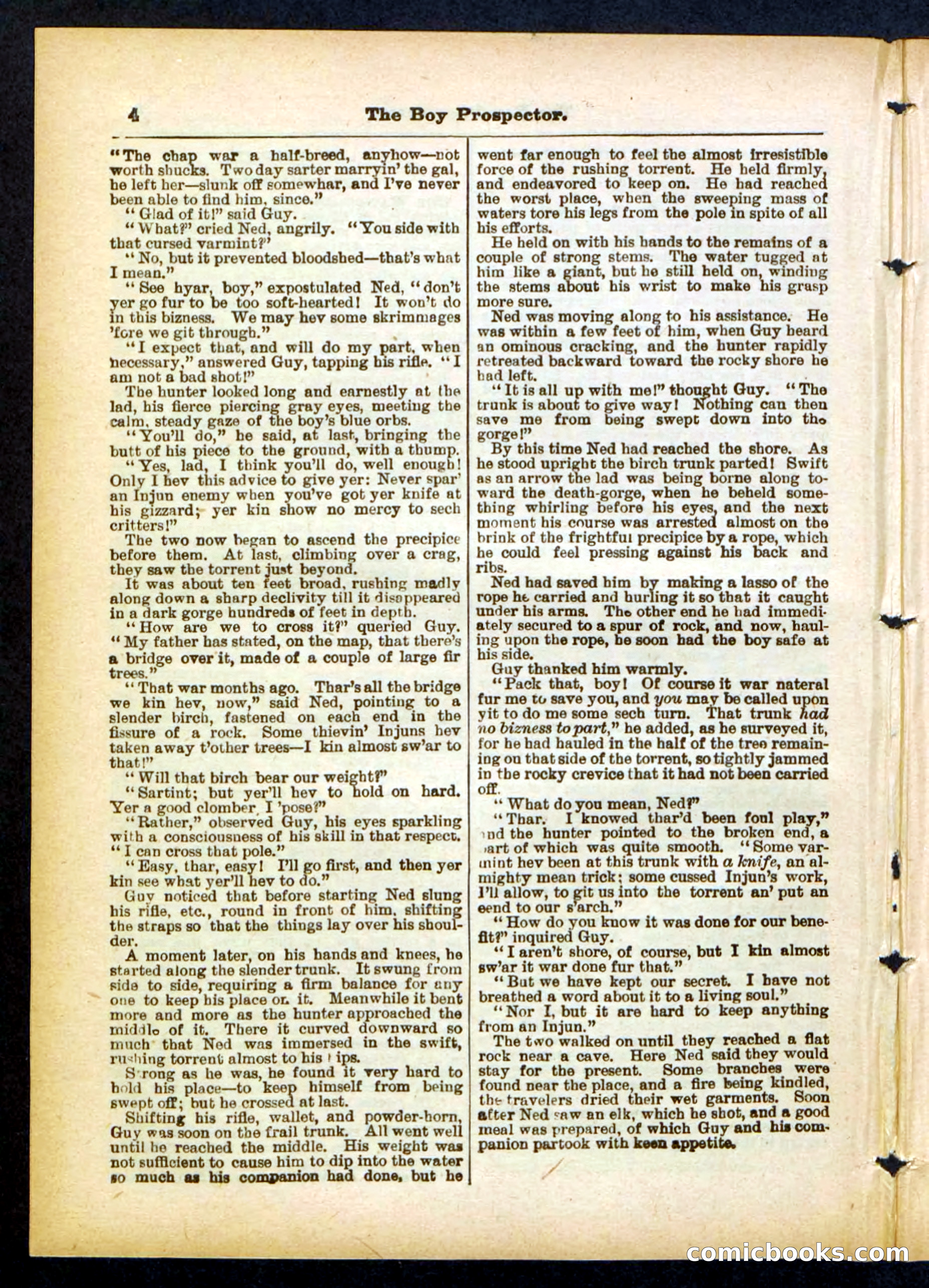 Beadle's Pocket Library No. 419 — page 4 of 32