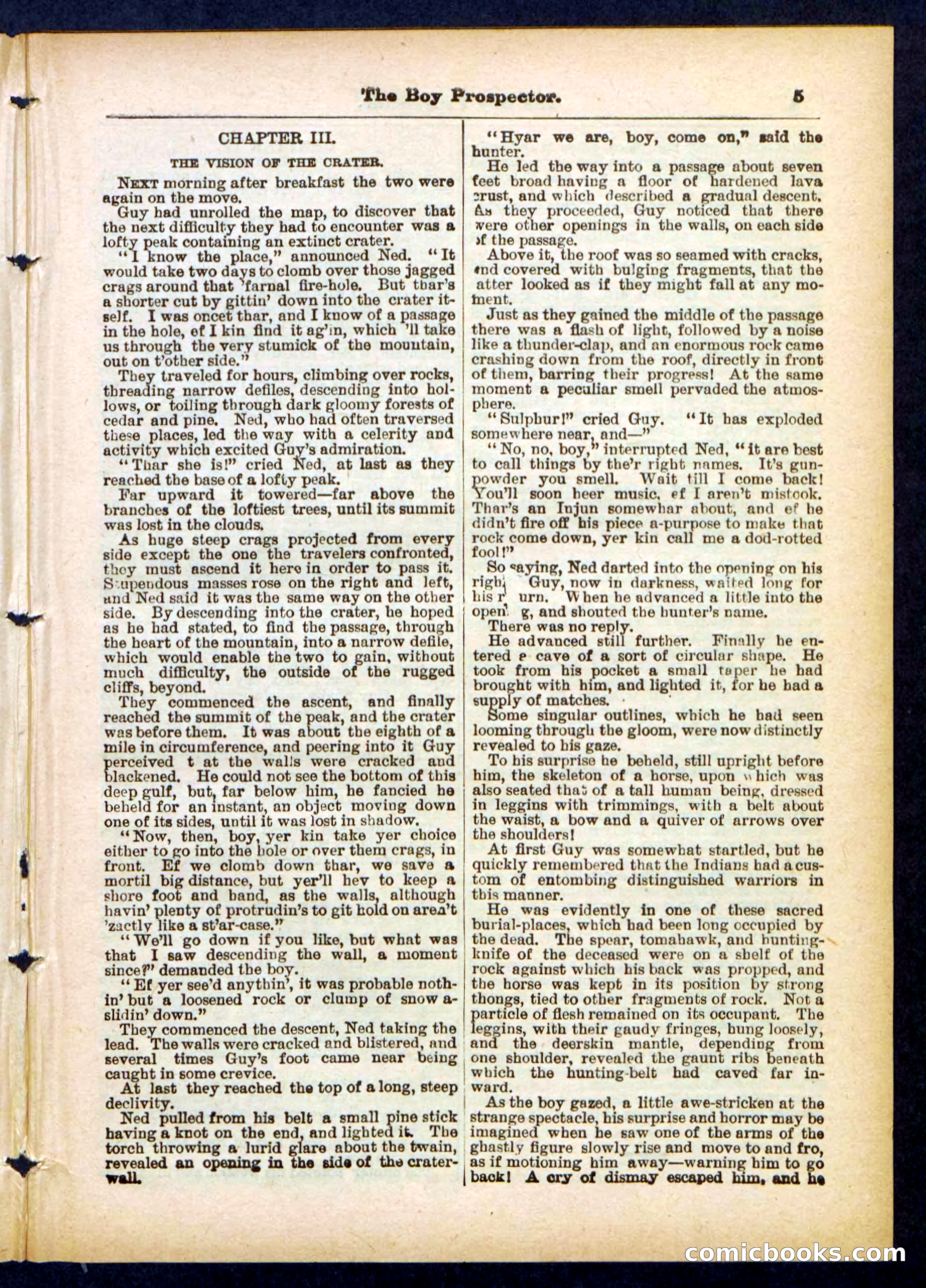 Beadle's Pocket Library No. 419 — page 5 of 32