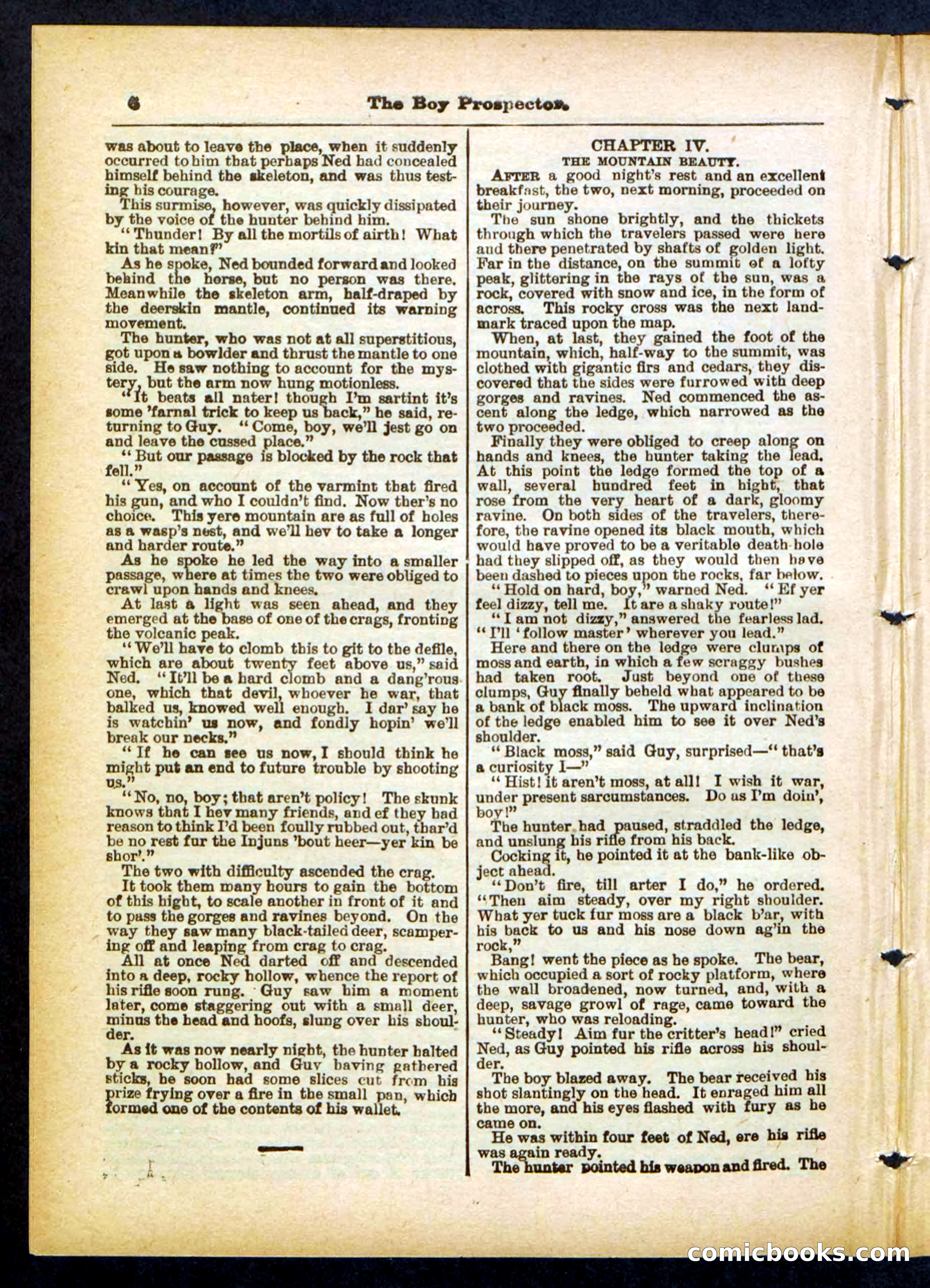 Beadle's Pocket Library No. 419 — page 6 of 32