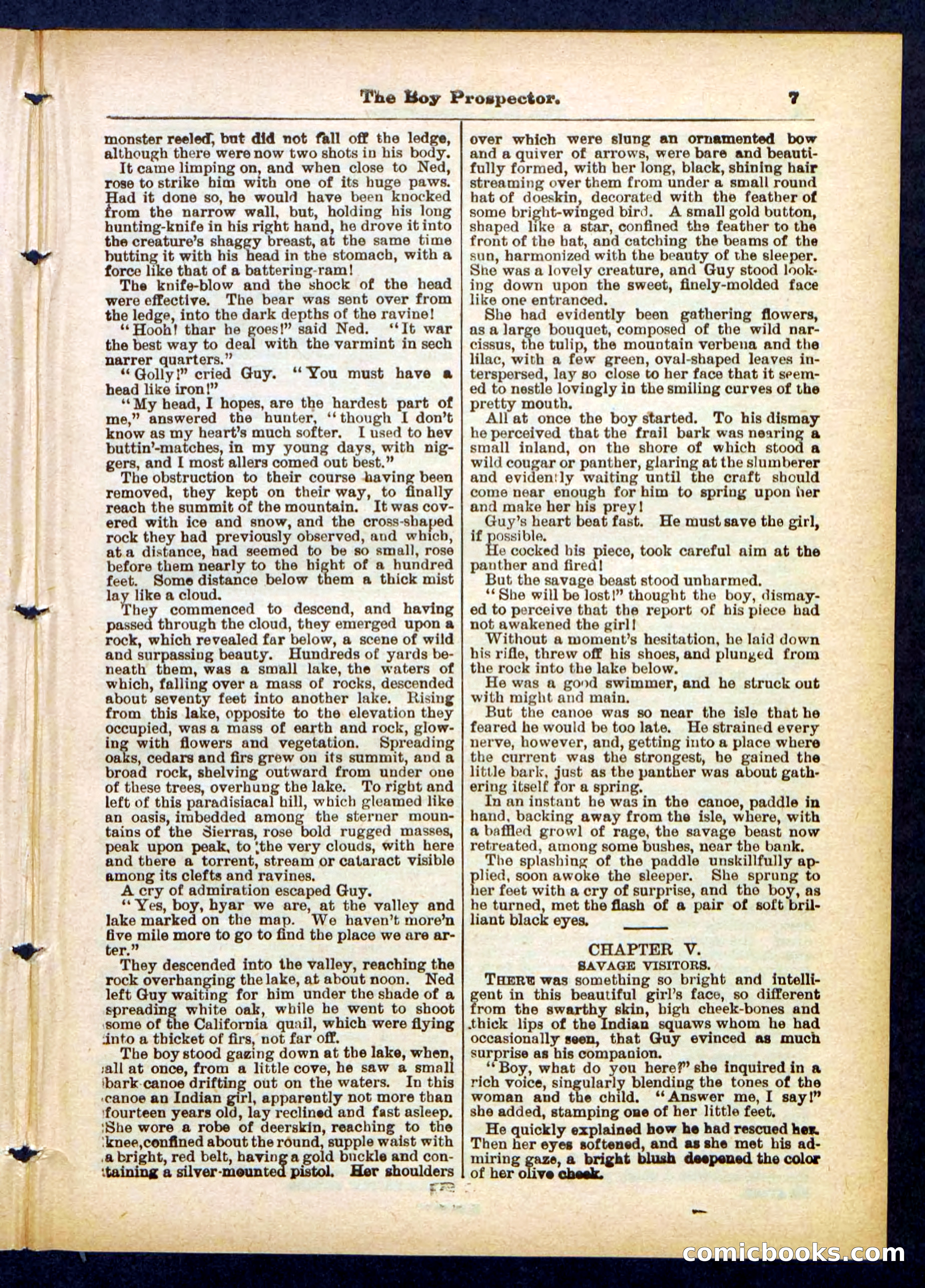 Beadle's Pocket Library No. 419 — page 7 of 32