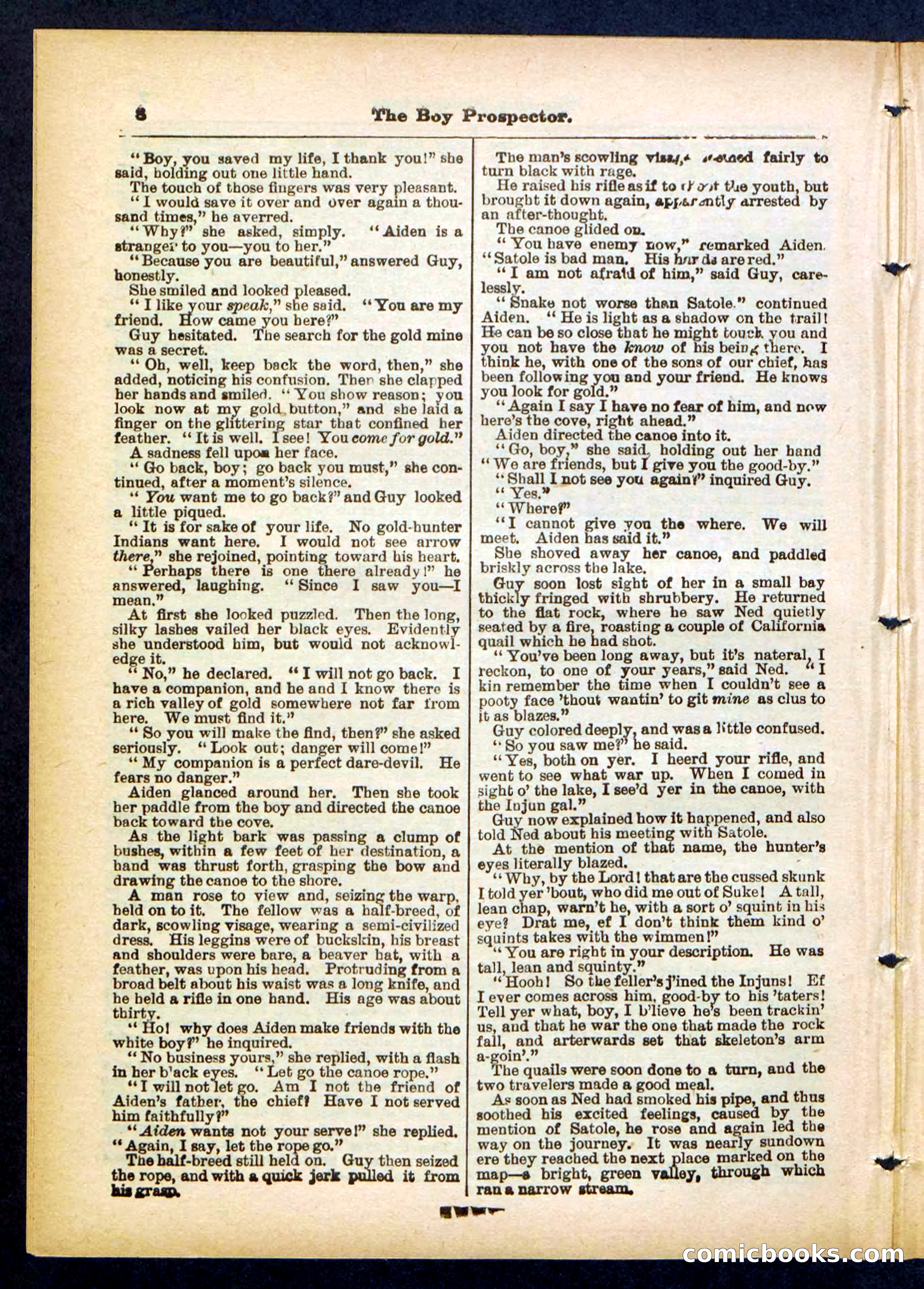 Beadle's Pocket Library No. 419 — page 8 of 32