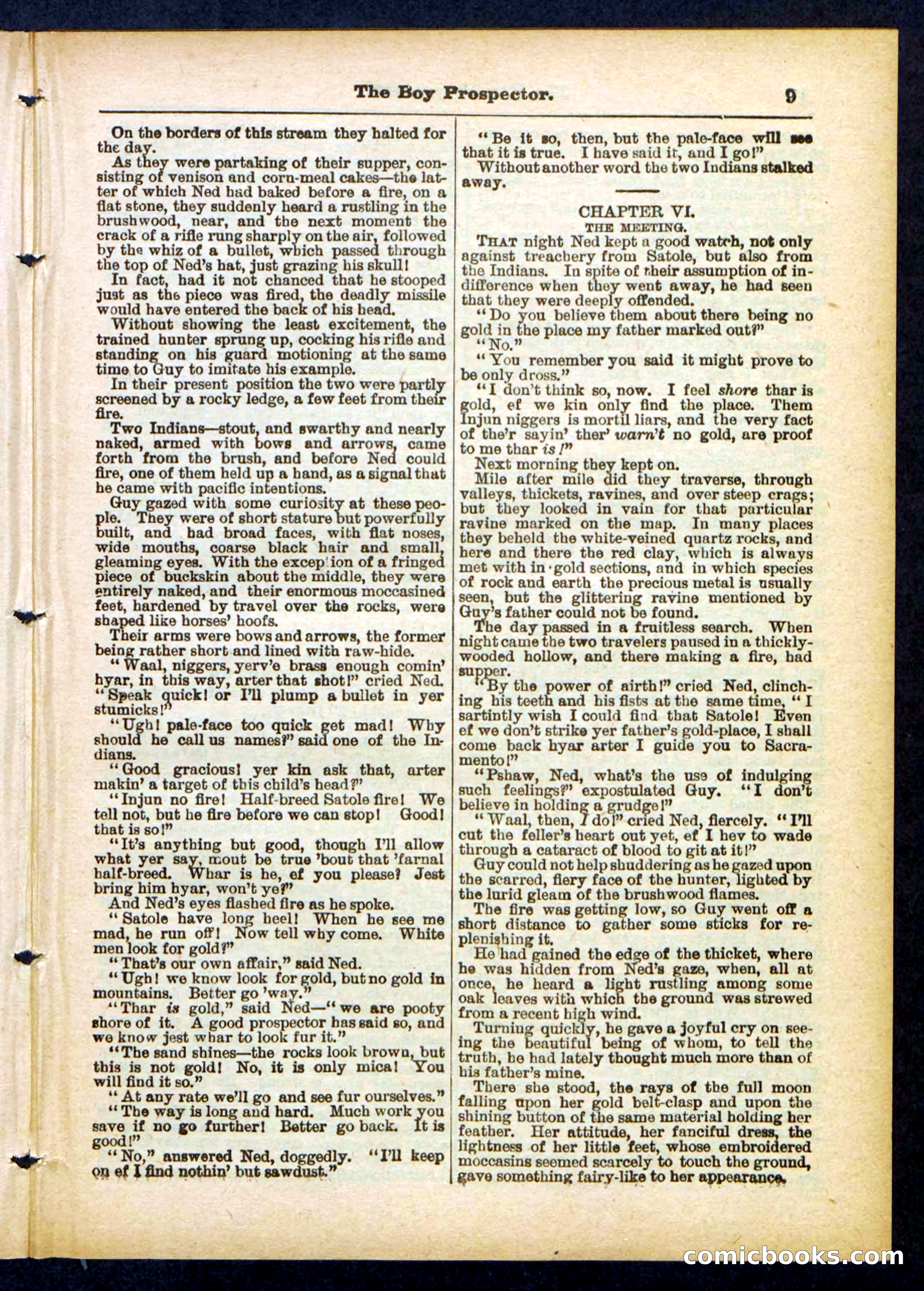 Beadle's Pocket Library No. 419 — page 9 of 32