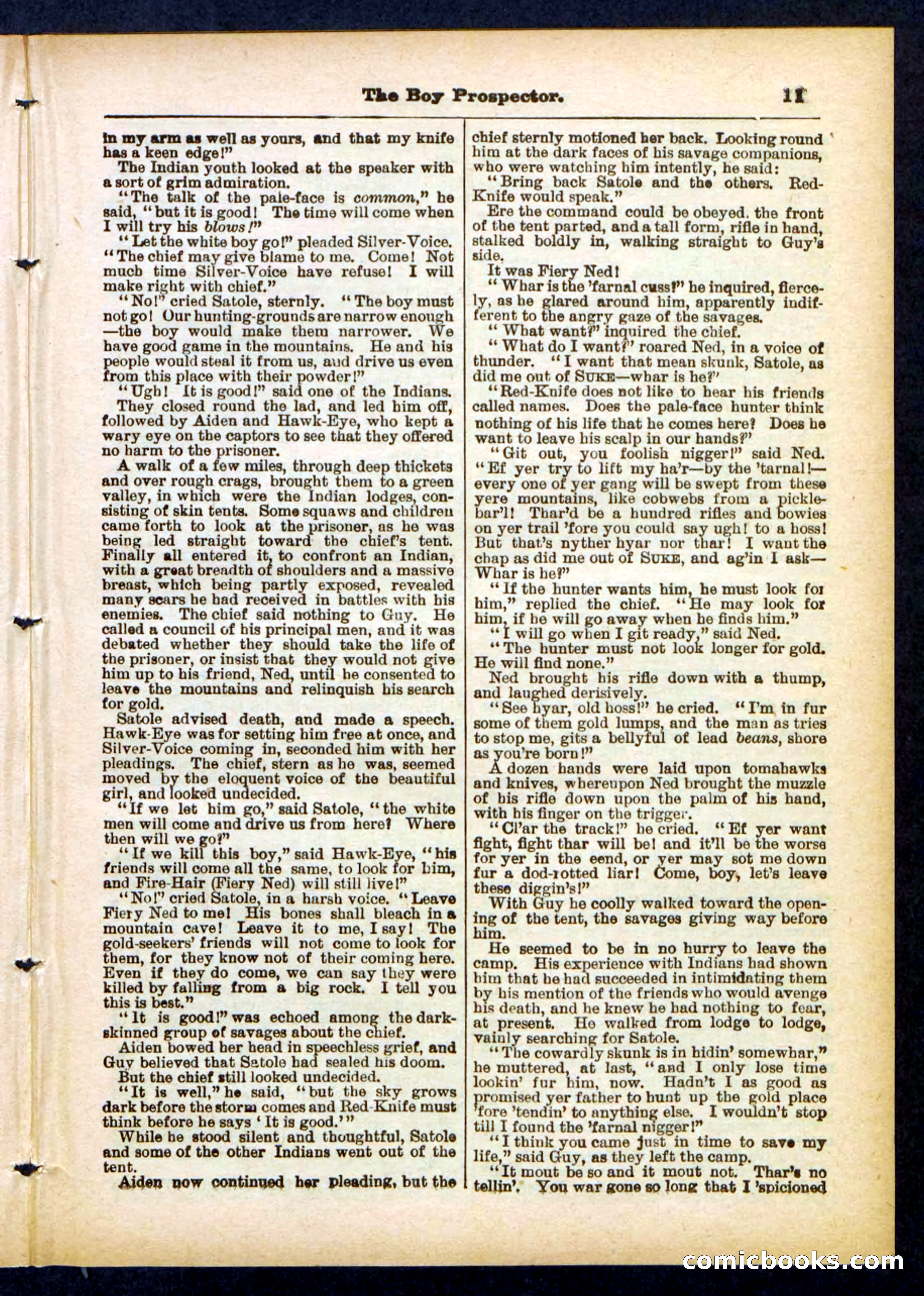 Beadle's Pocket Library No. 419 — page 11 of 32