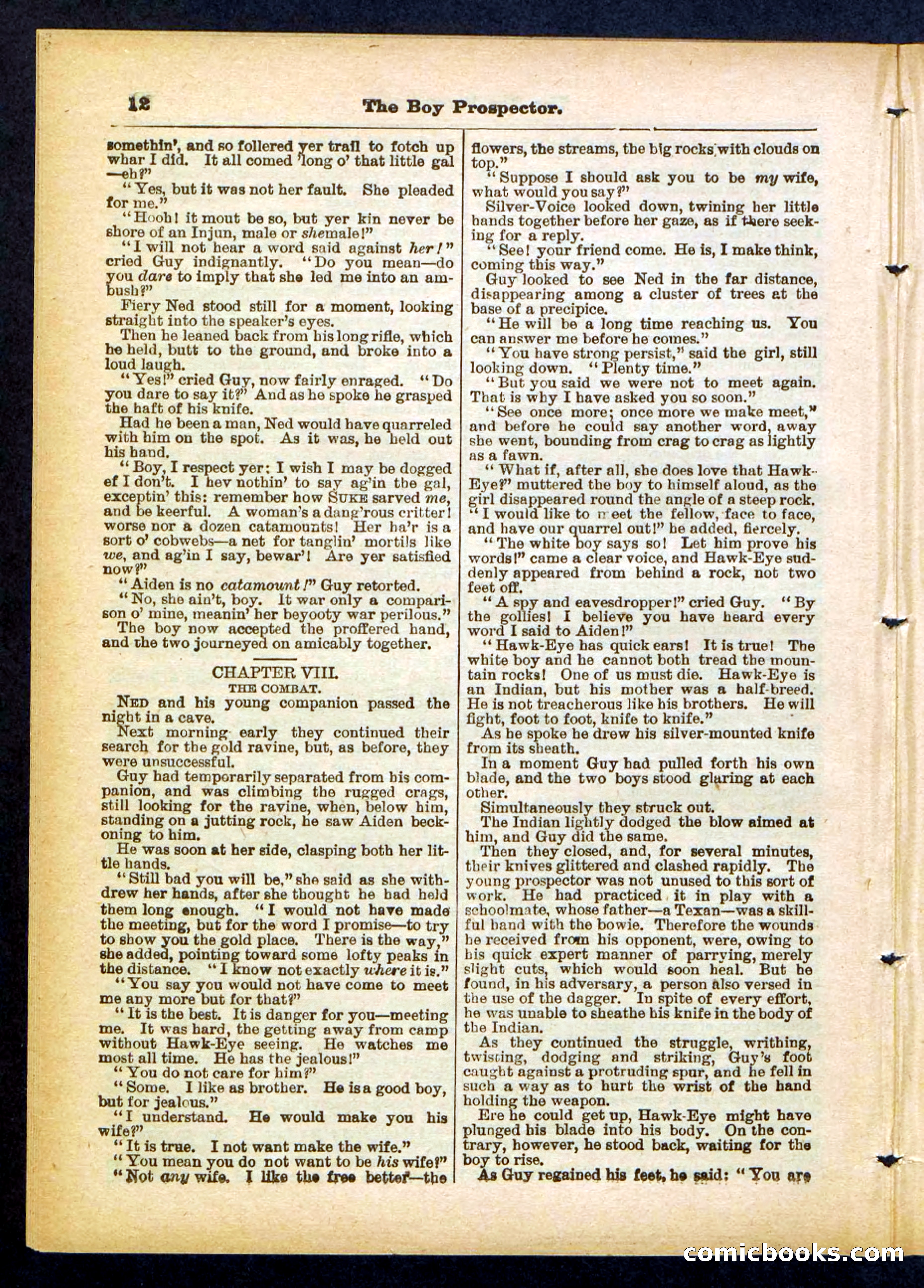 Beadle's Pocket Library No. 419 — page 12 of 32