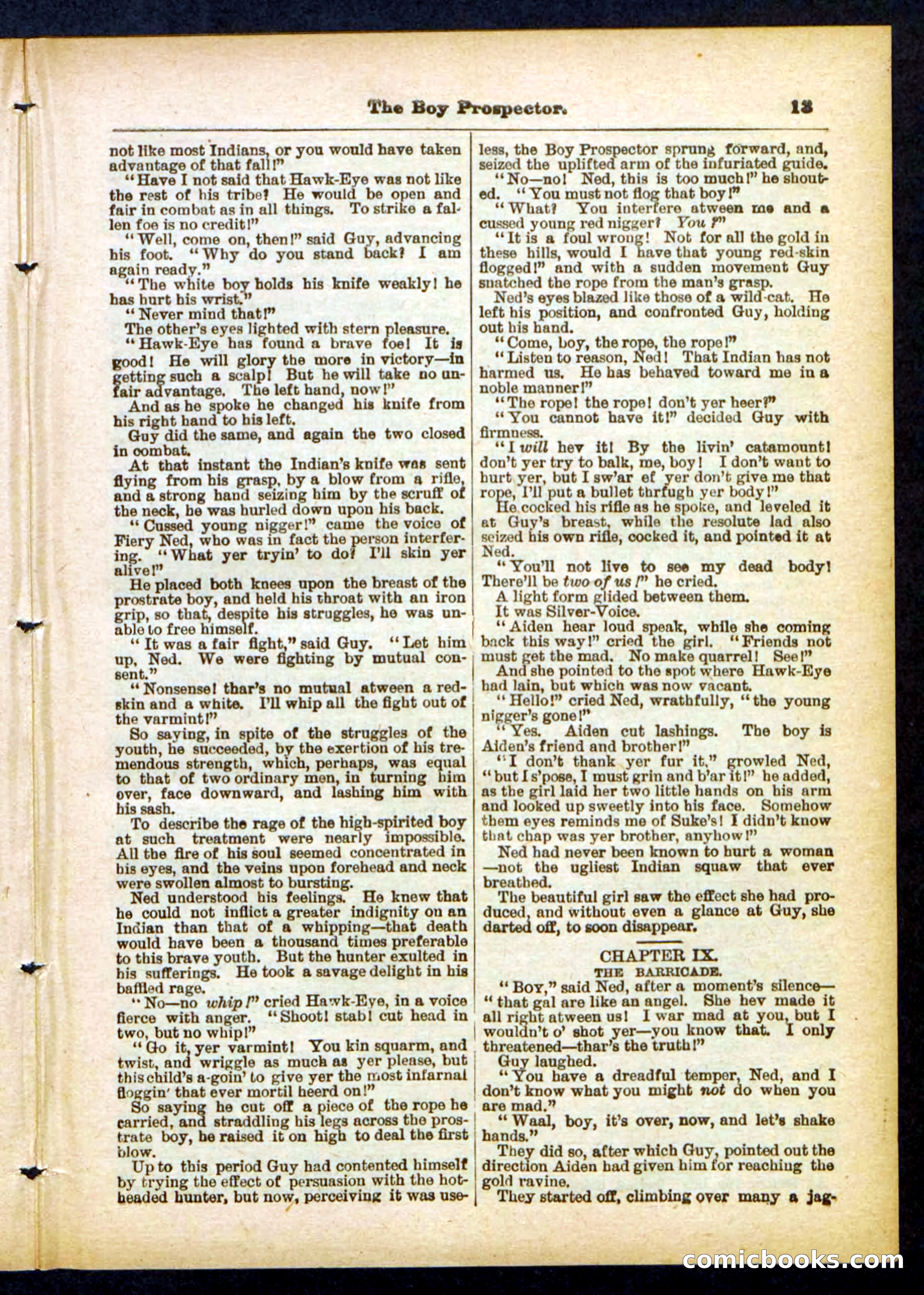 Beadle's Pocket Library No. 419 — page 13 of 32