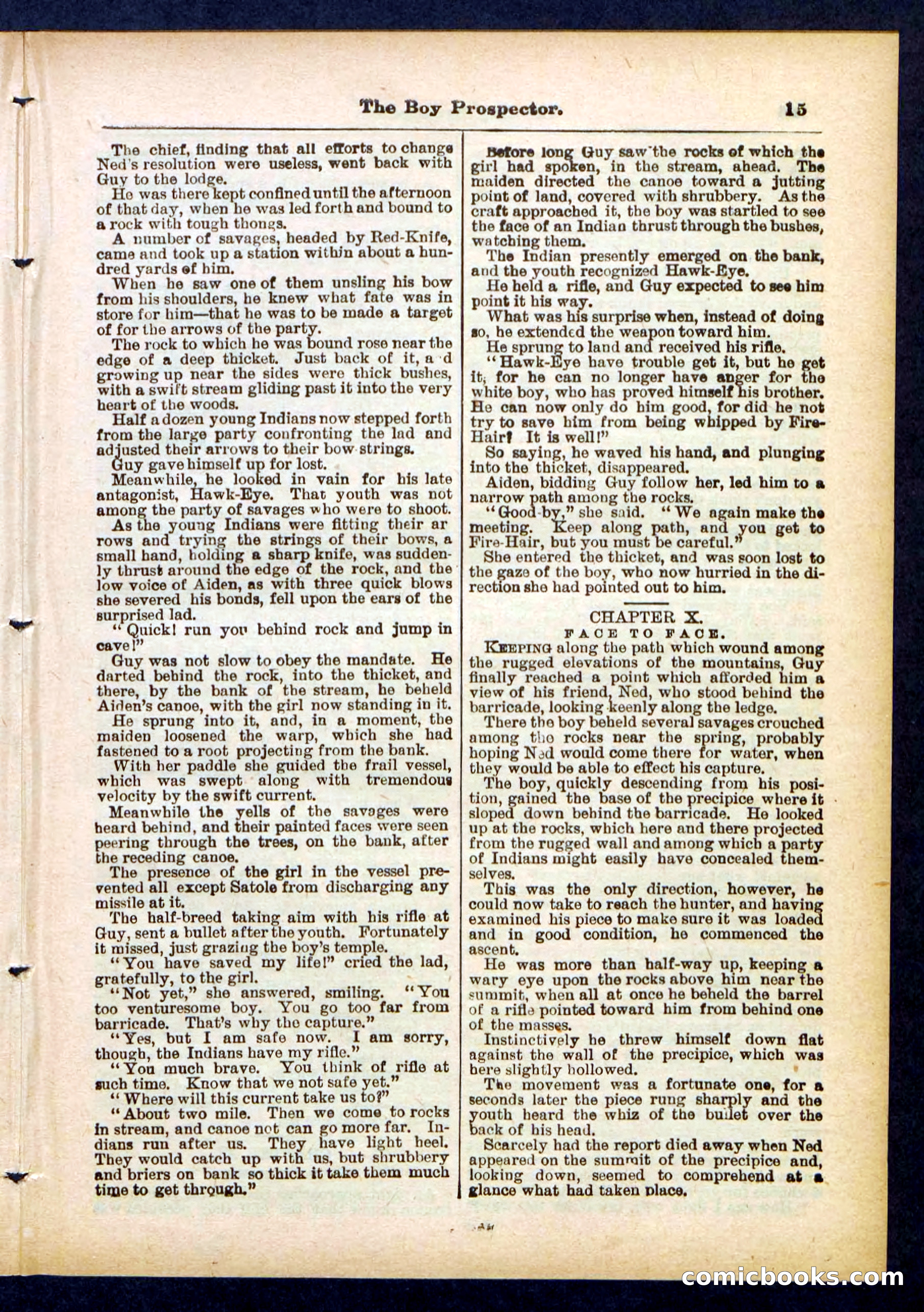 Beadle's Pocket Library No. 419 — page 15 of 32